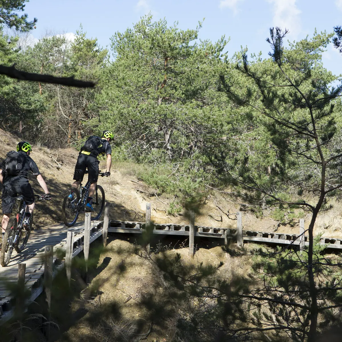 Liaison VTT