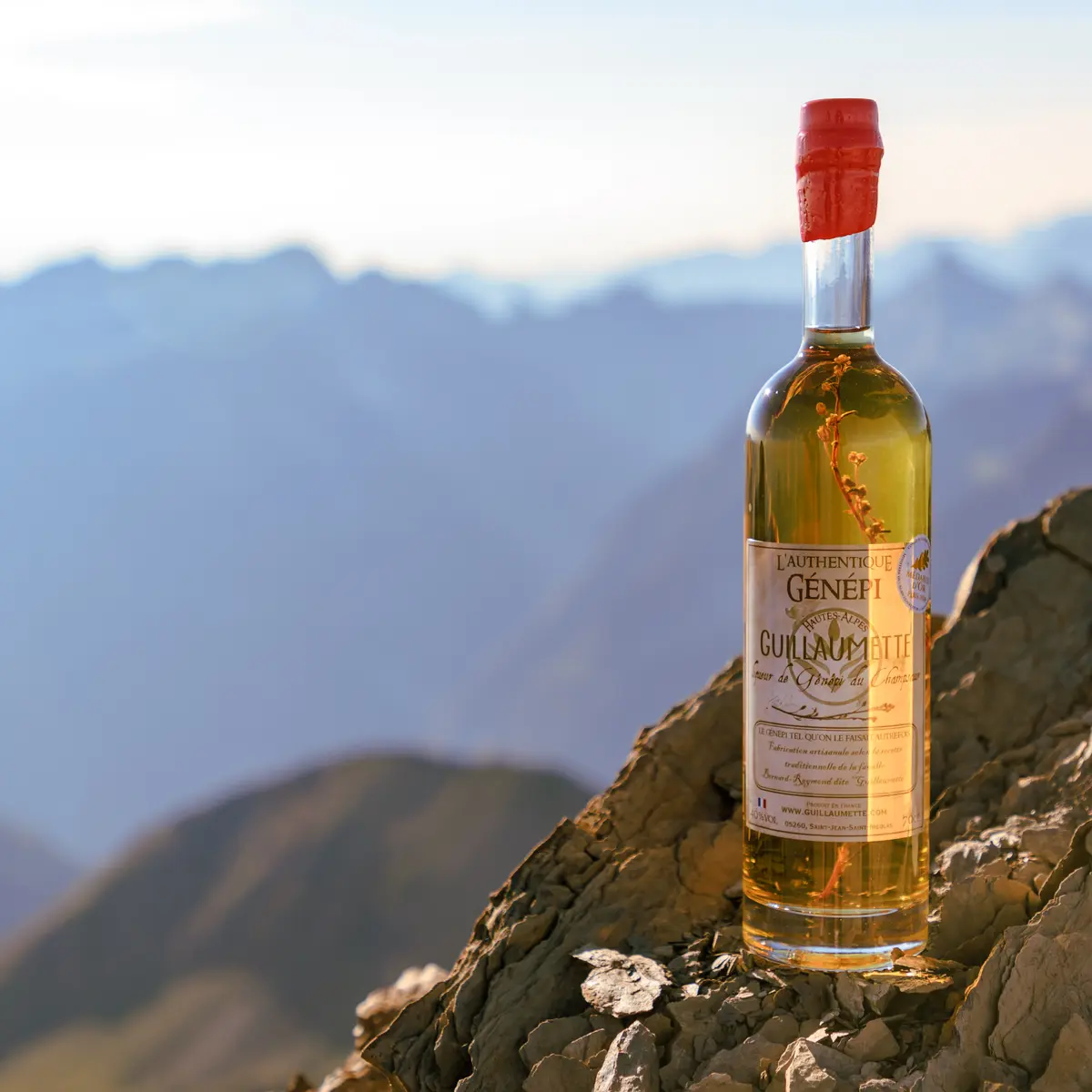 Génépi Guillaumette