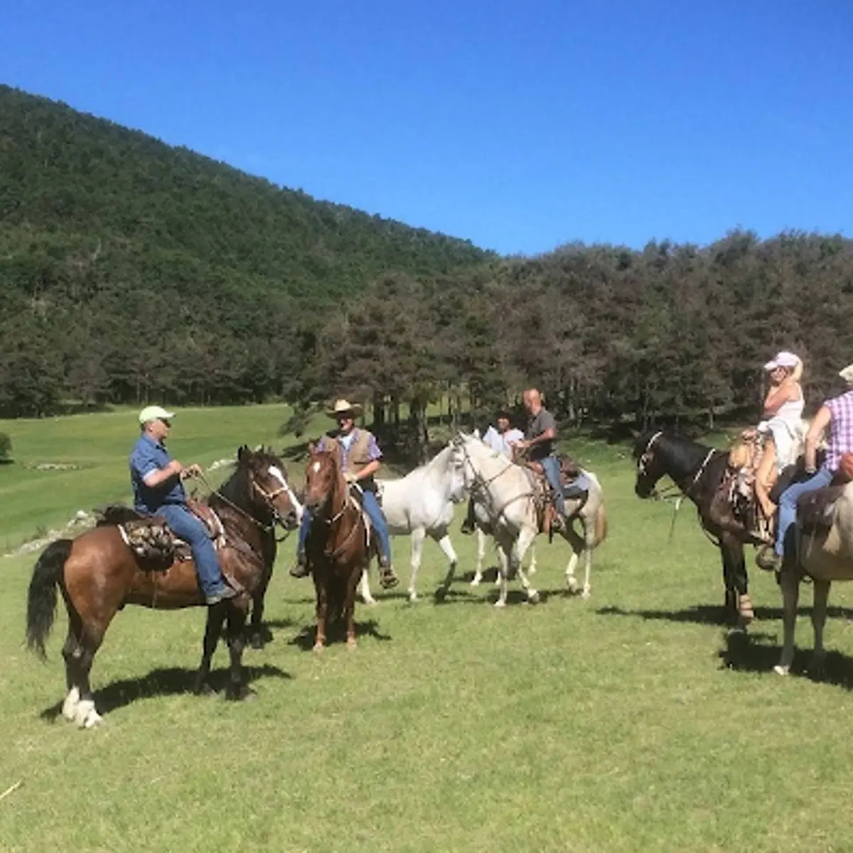 Sur la route Napoléon