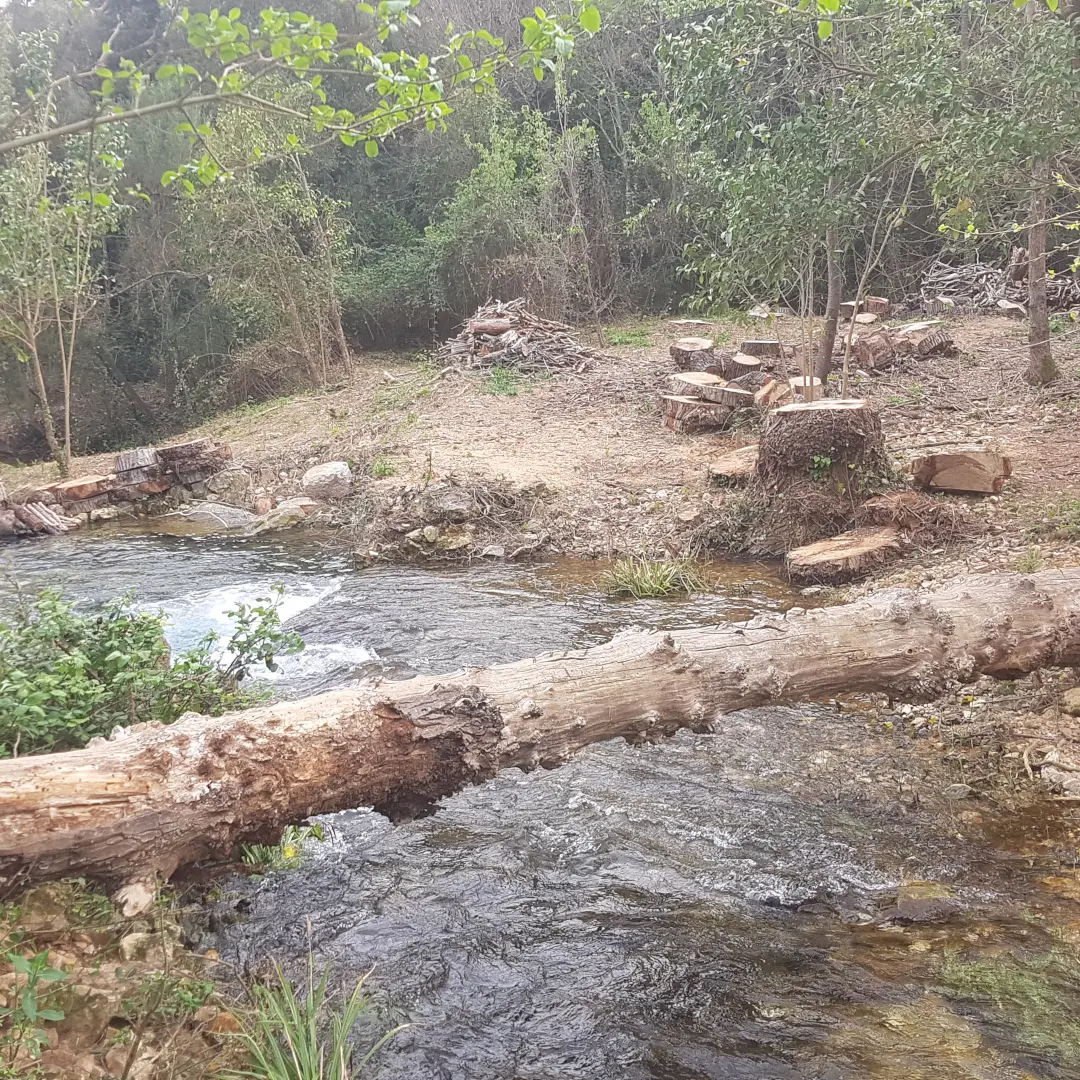 Berges de la Source de l'Argens_Seillons-Source-d'Argens