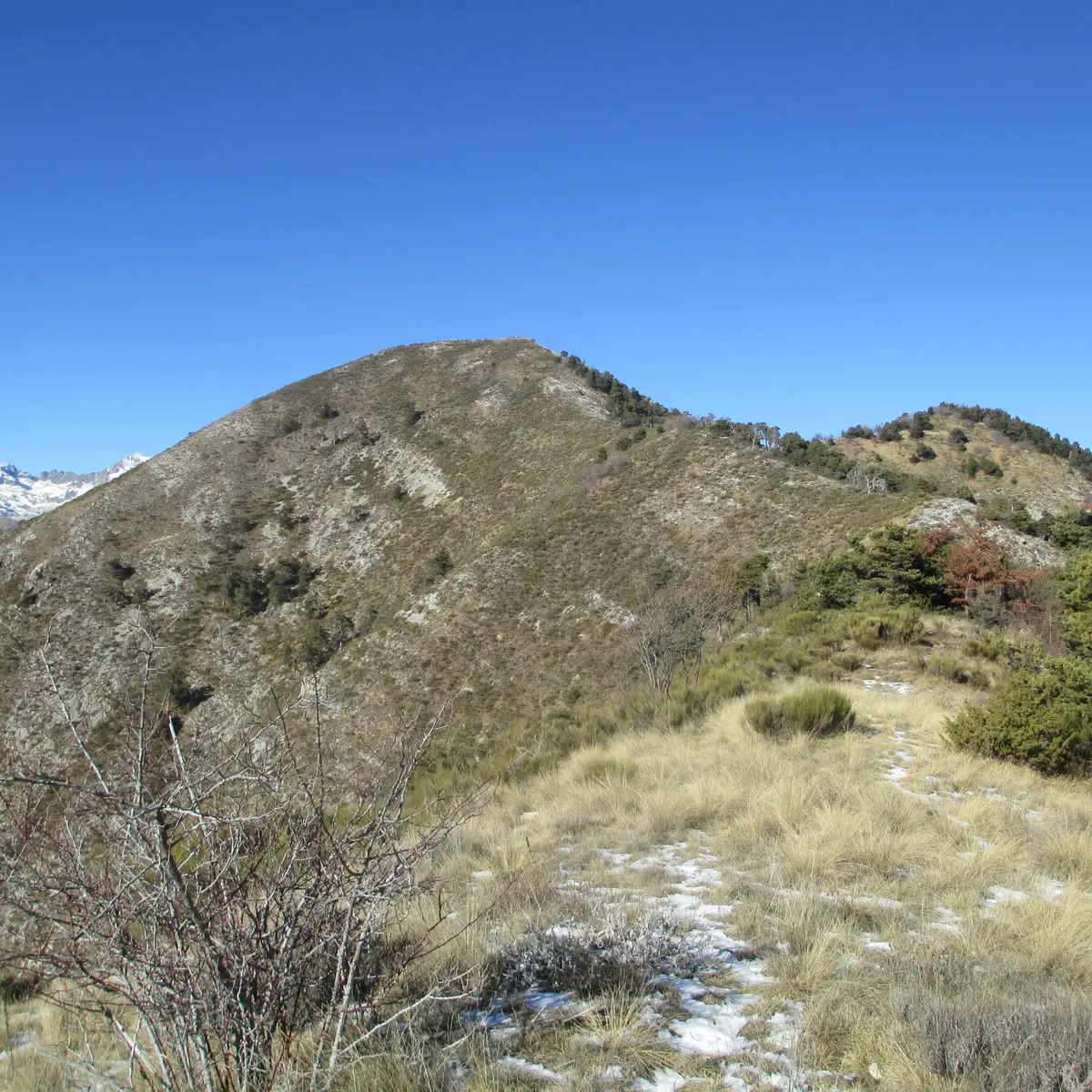vue du mont bergiorin