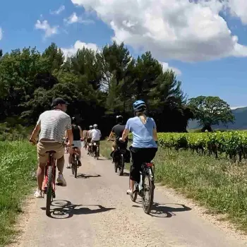 BEE'S LOCATION VELO 1/2 JOURNEE