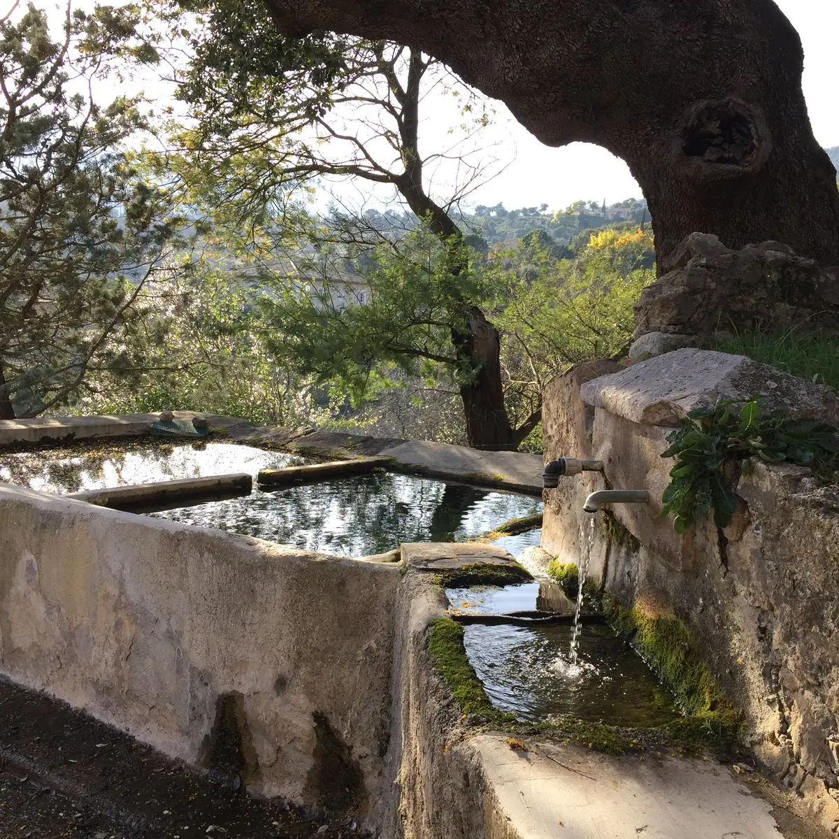 Hameau du Vernet