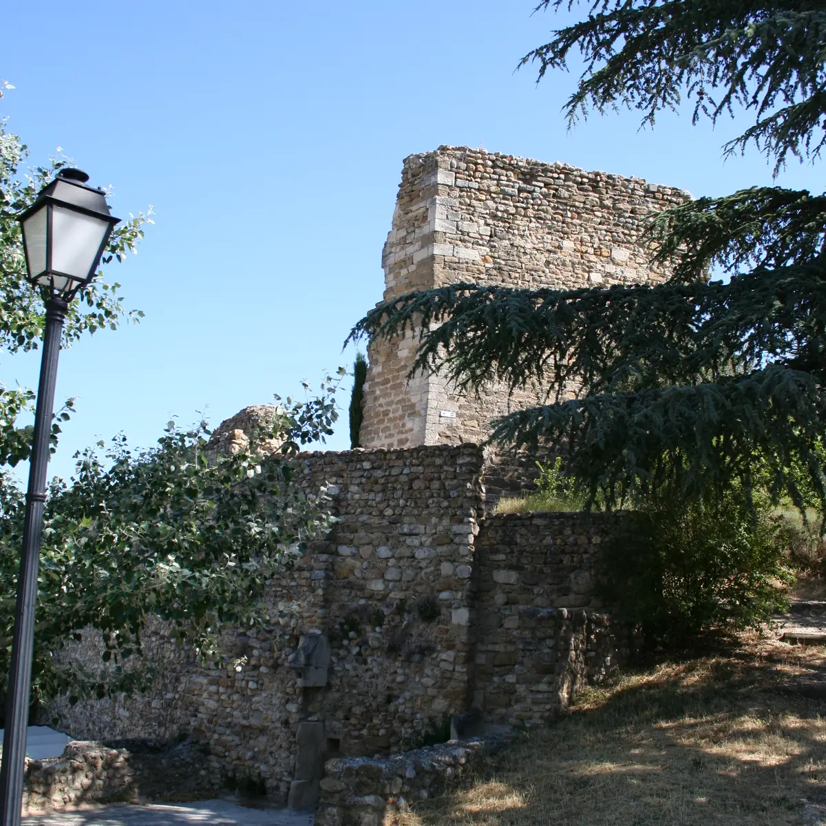 Ancien château - Visan