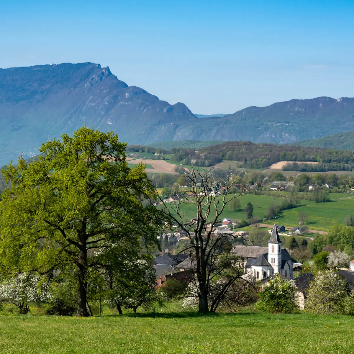 Paysage de l'Albanais