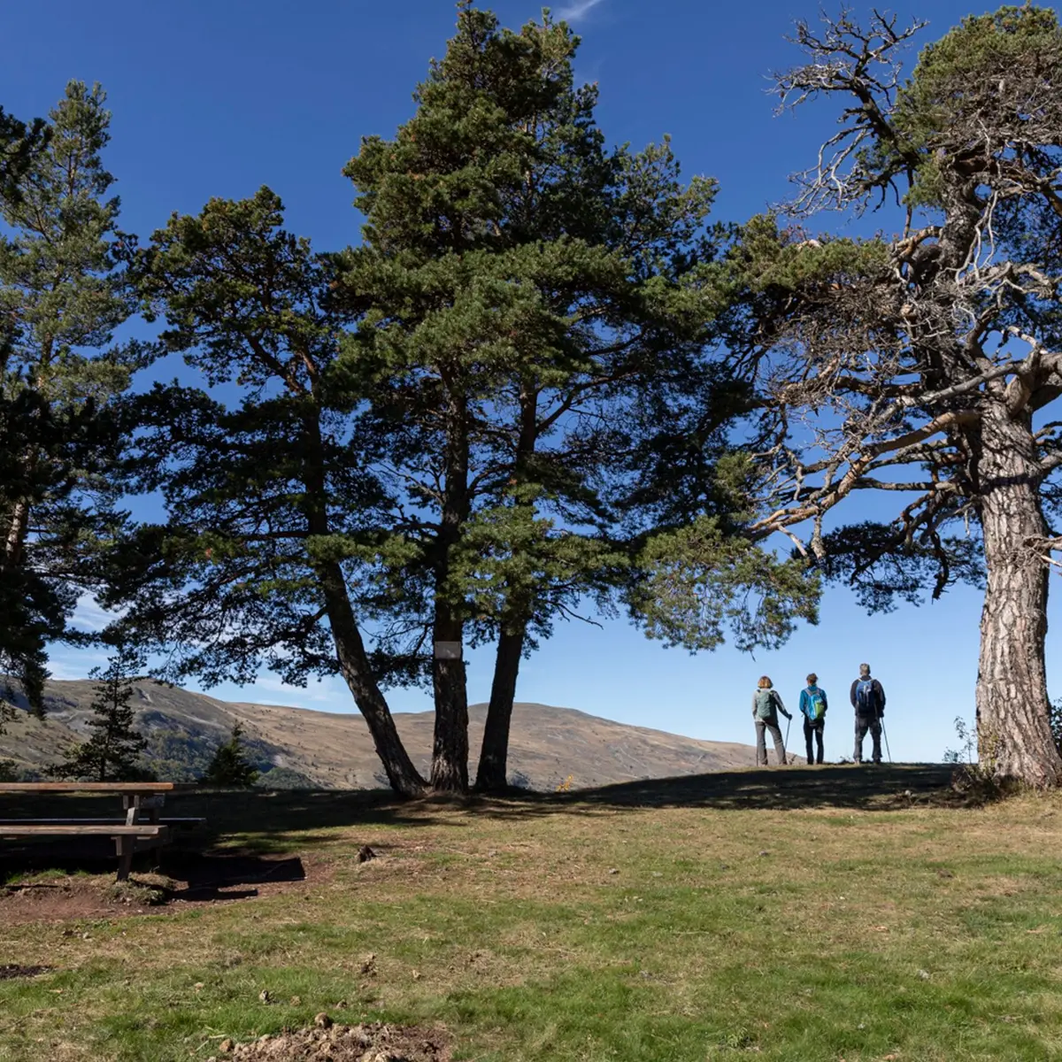 Sur les rives du lac des Monges