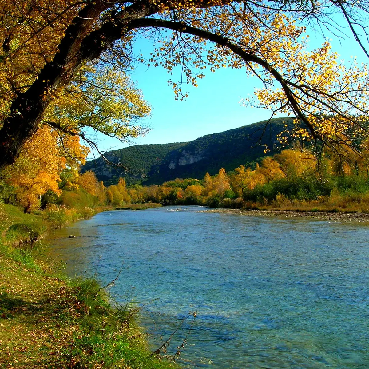 Automne au bord du Verdon
