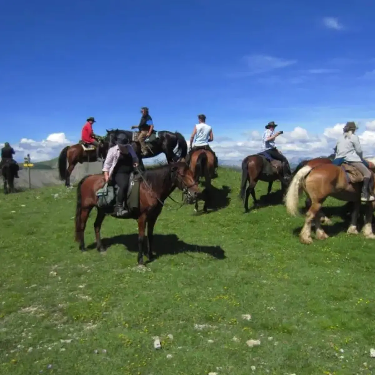 Sur la route Napoléon