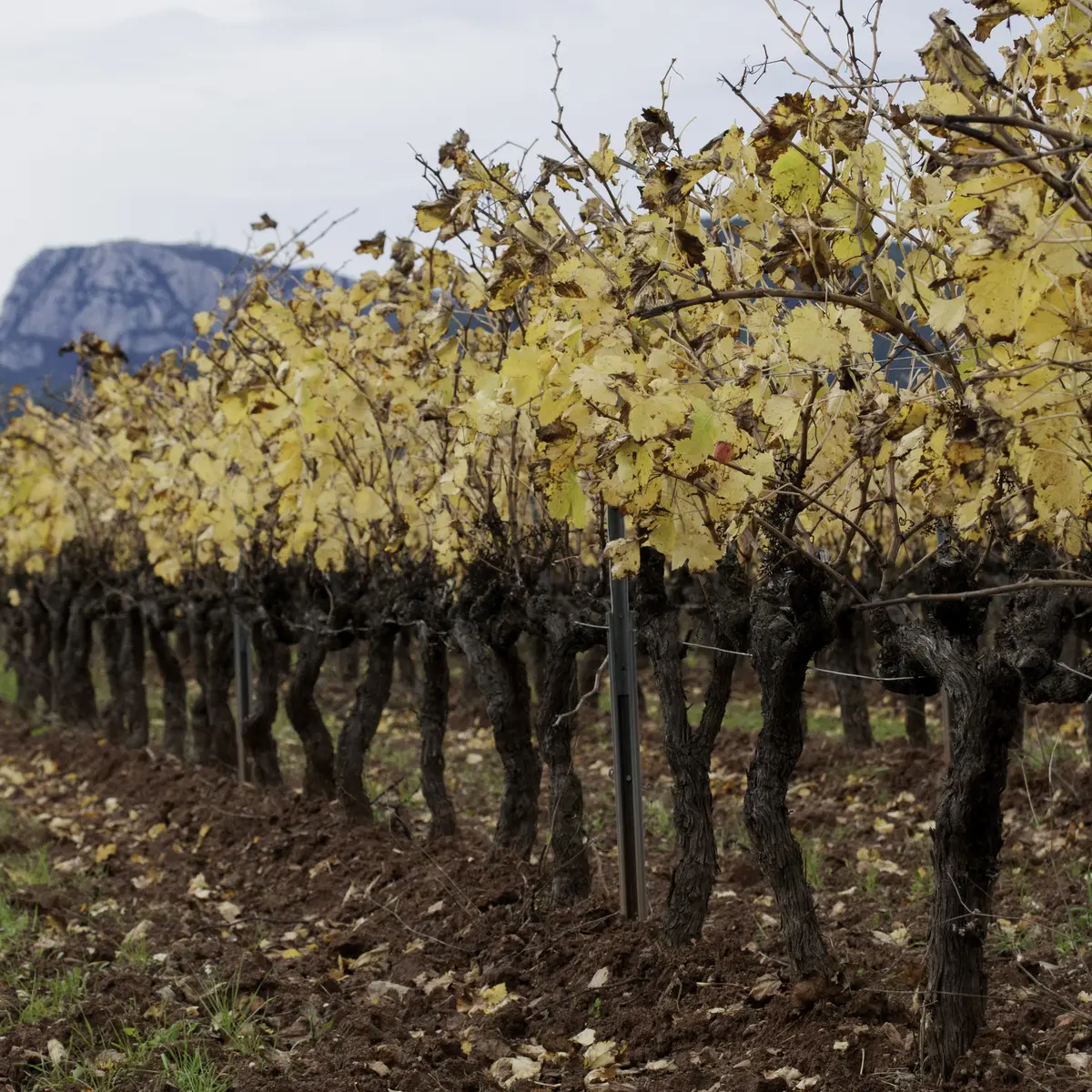 Château LA CASTILLE