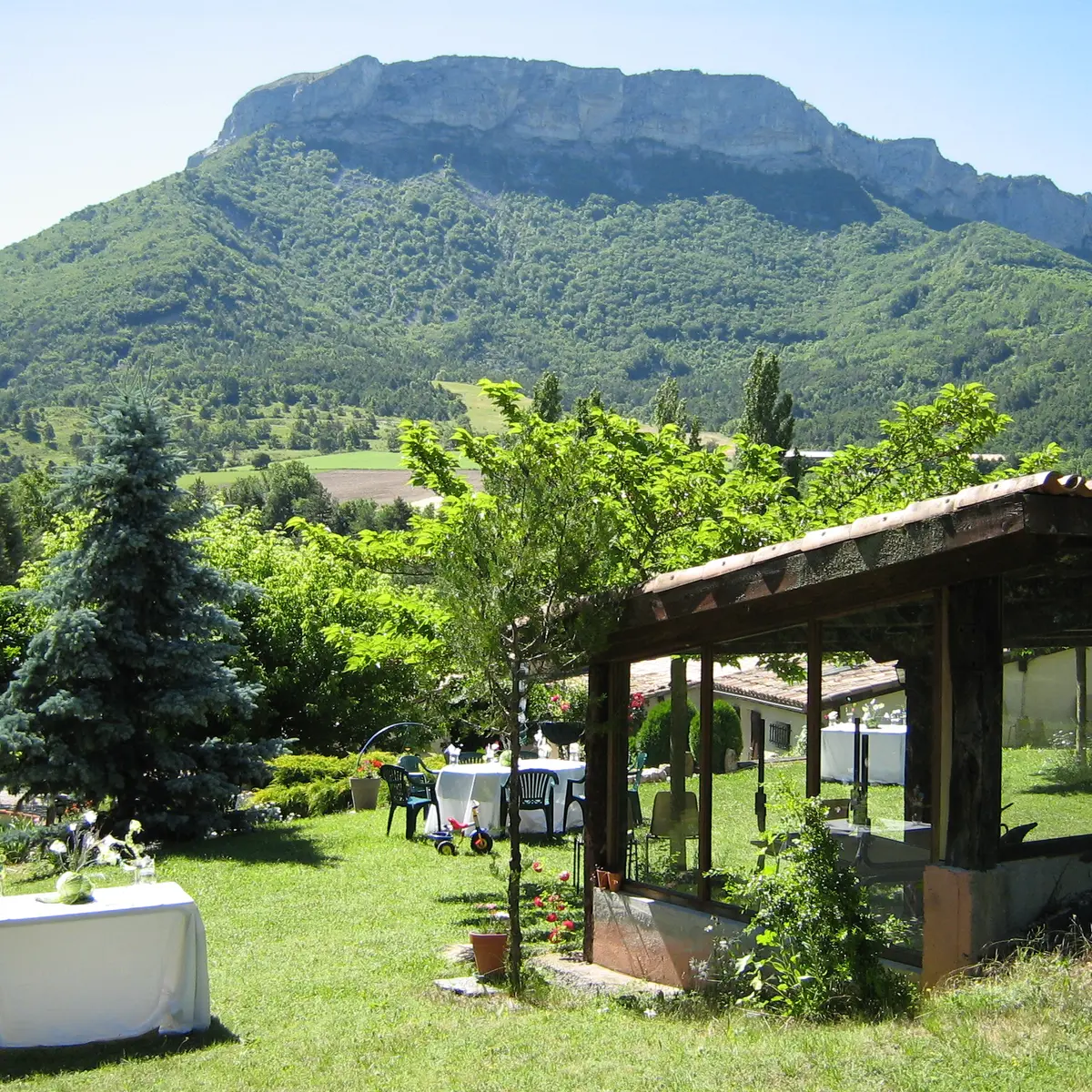 Cuisine d'été et barbecue