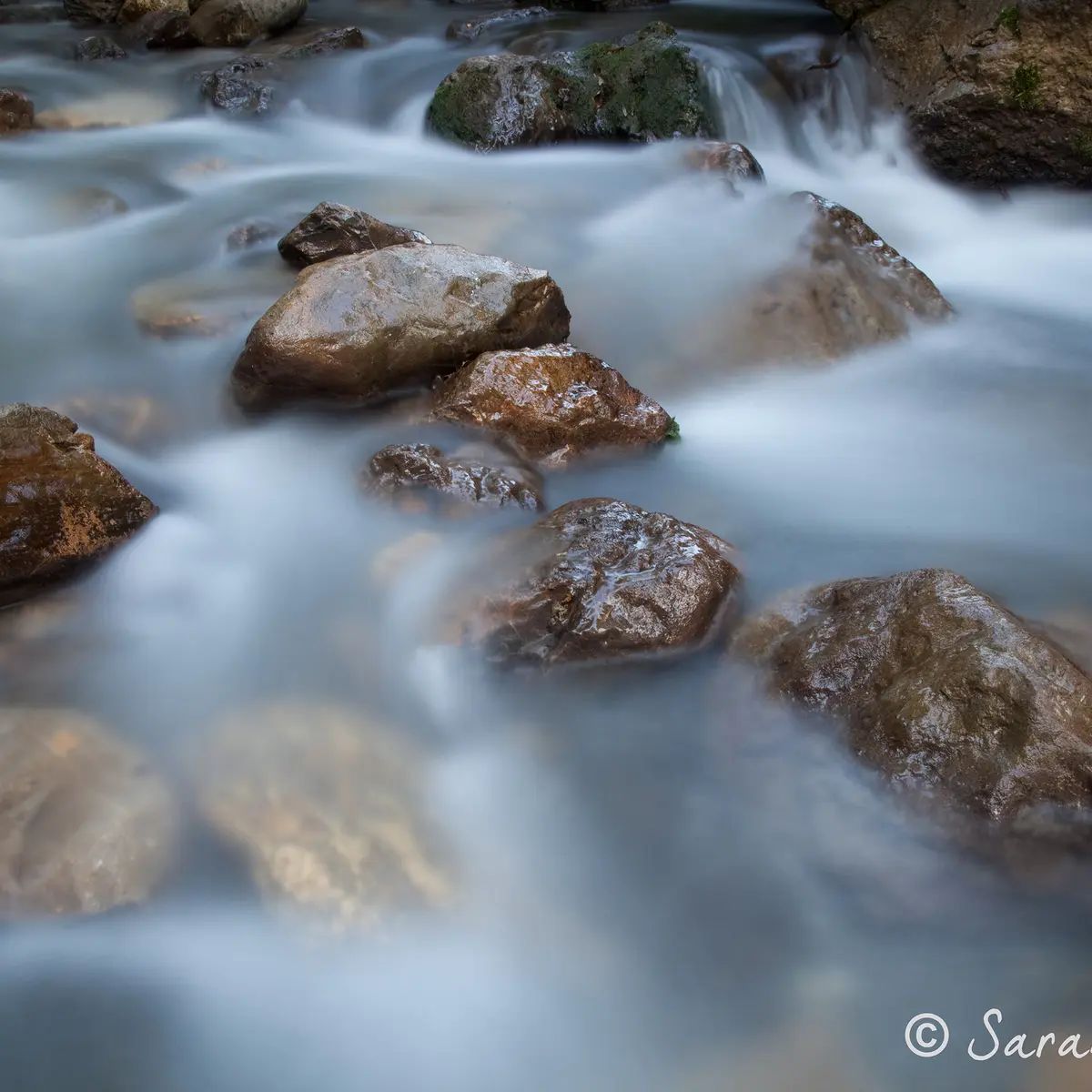 Stage Photo - Les bases de la photographie