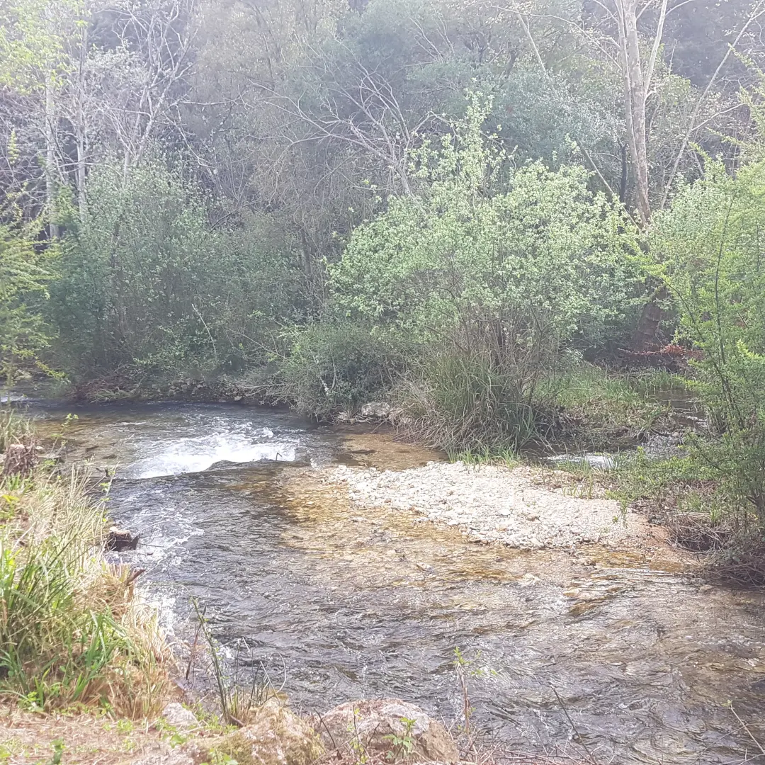 Berges de la Source de l'Argens_Seillons-Source-d'Argens