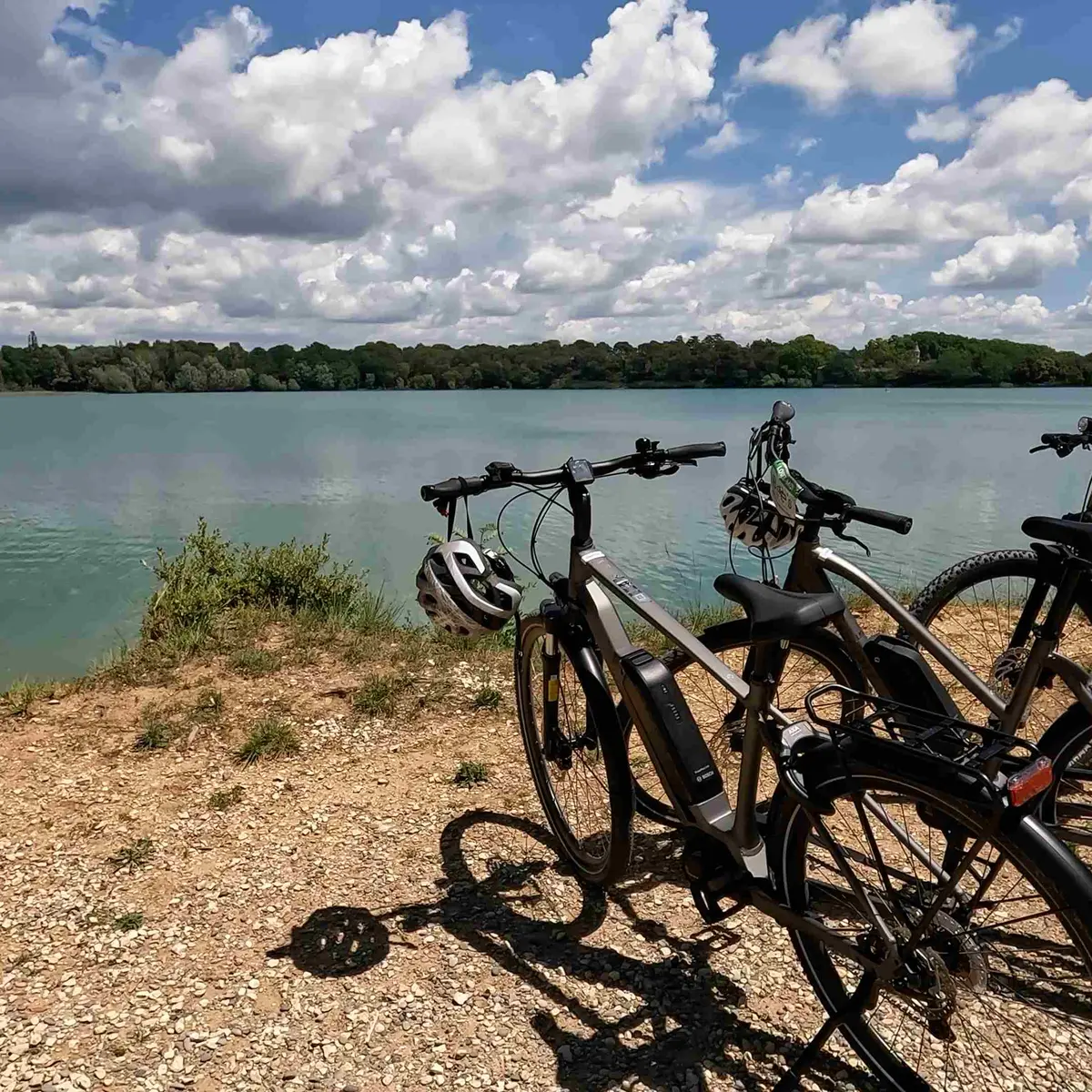 BEE'S LOCATION VELO 1/2 JOURNEE