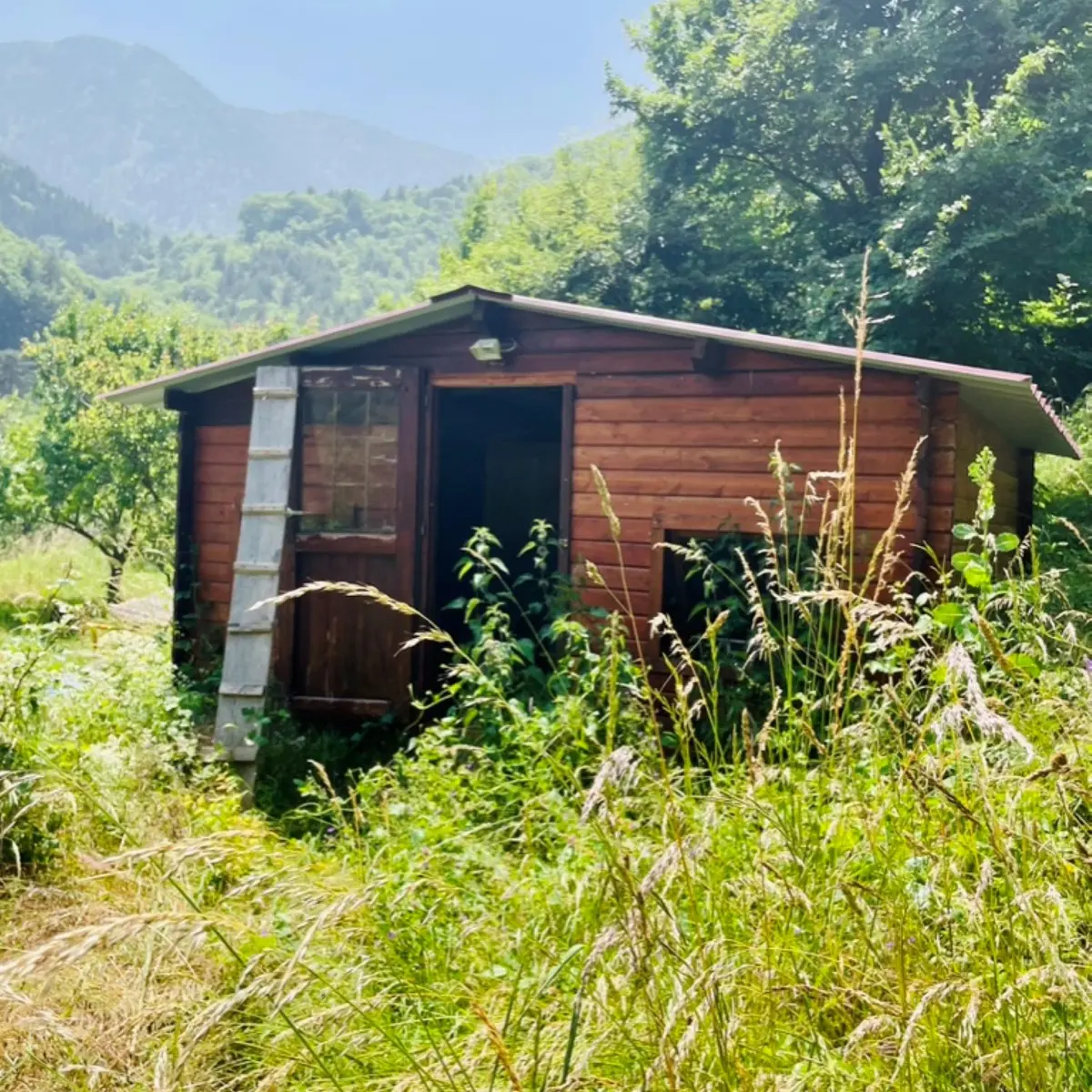 Cabane L'Ame fleur Breil