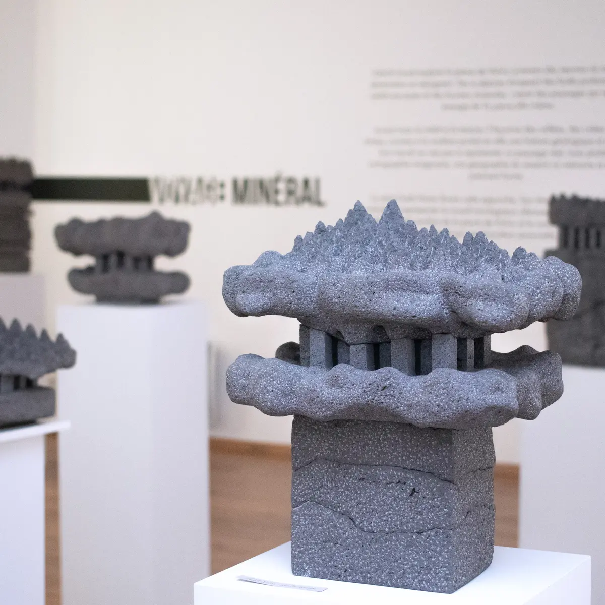 Exposition Contrastes