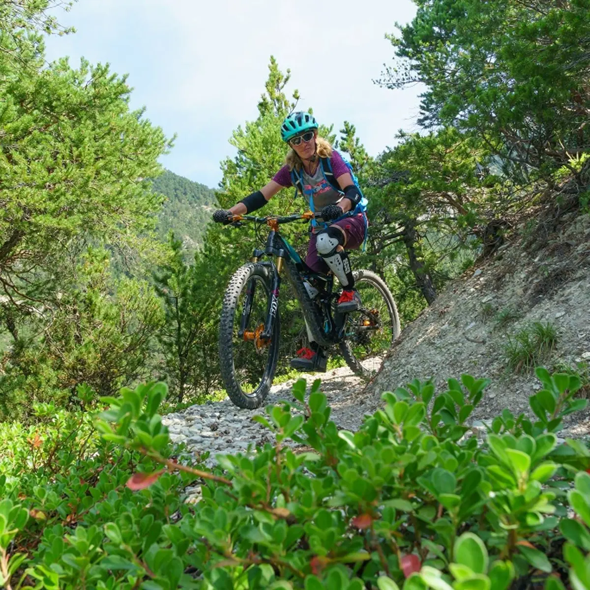 sentier en forêt d'adret