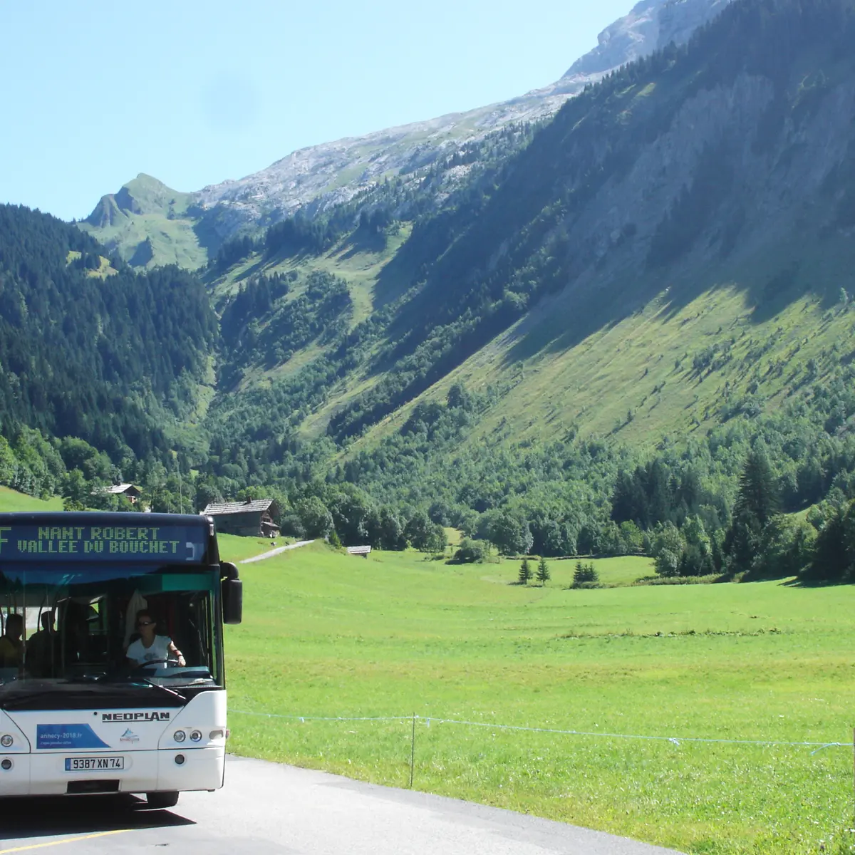 Bus été
