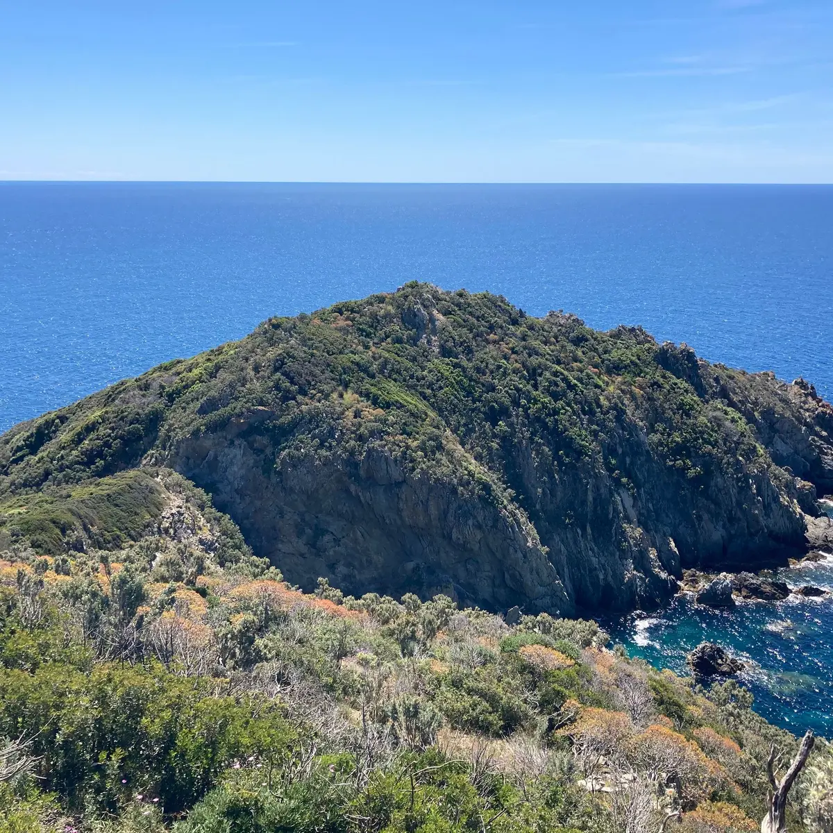 Cap Lardier