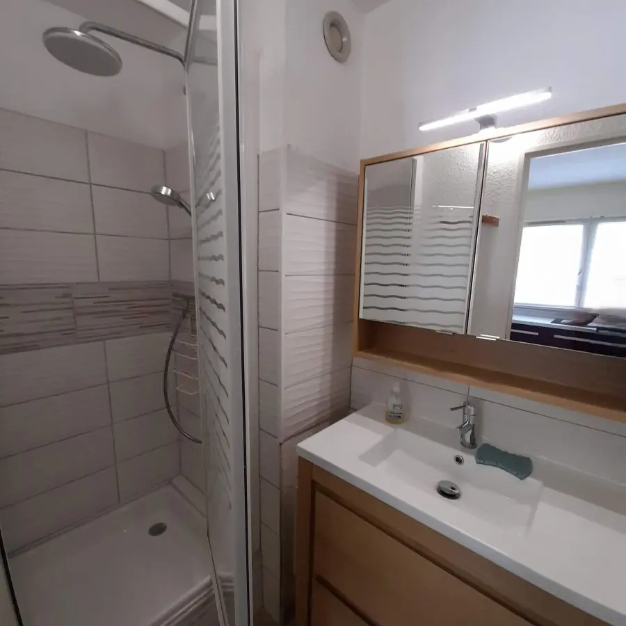 Salle de bains avec bac à douche, ameublement bois