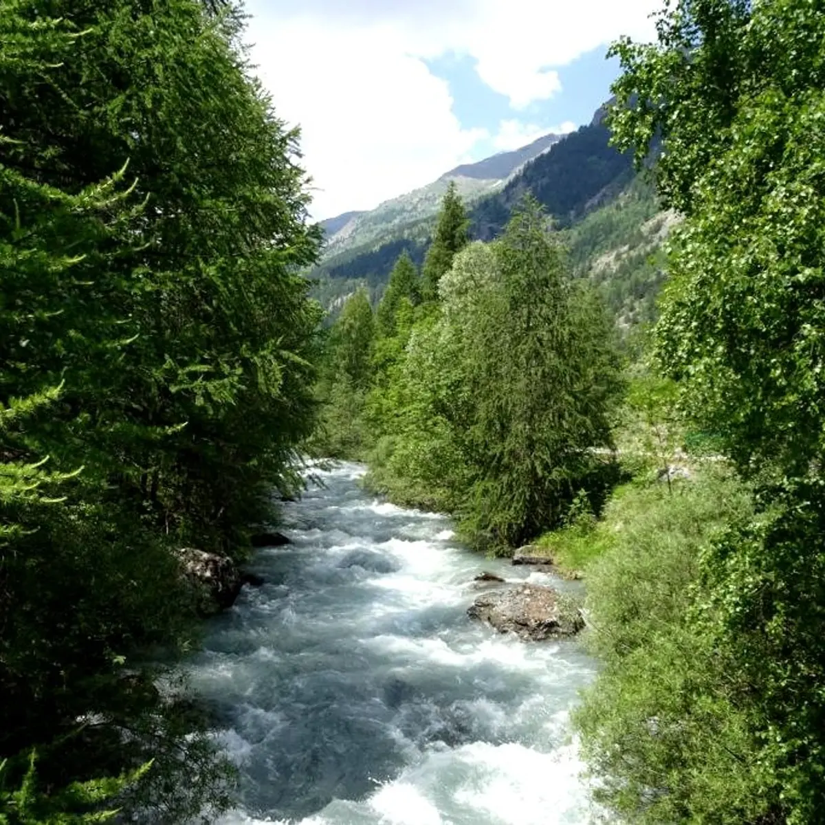 Sentier de Monsieur Alfred