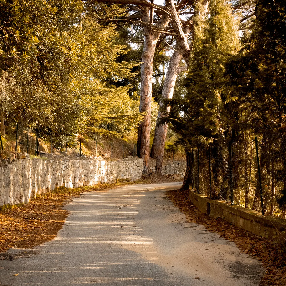 Sentier de la Castellane Grimaud