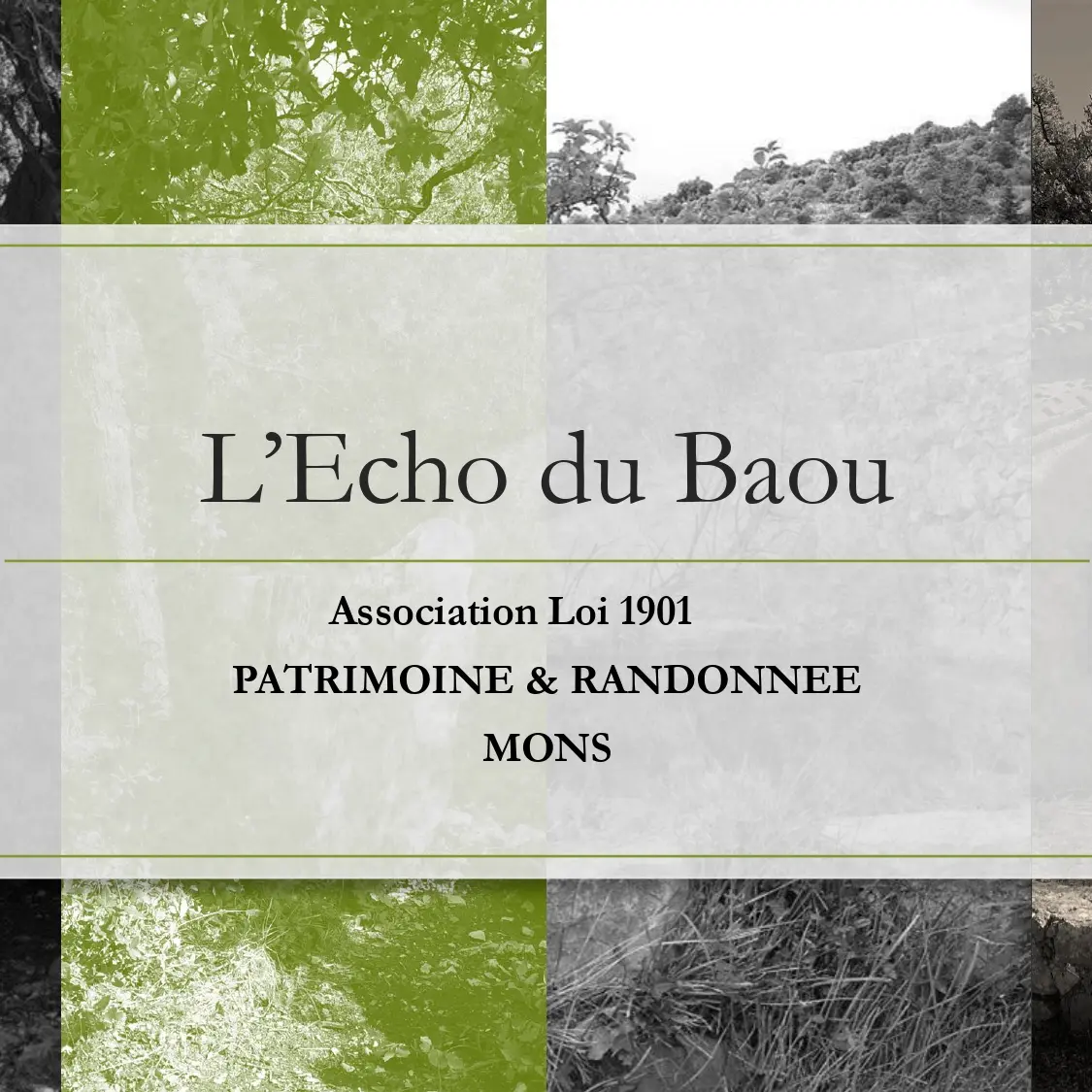 l'écho du baou