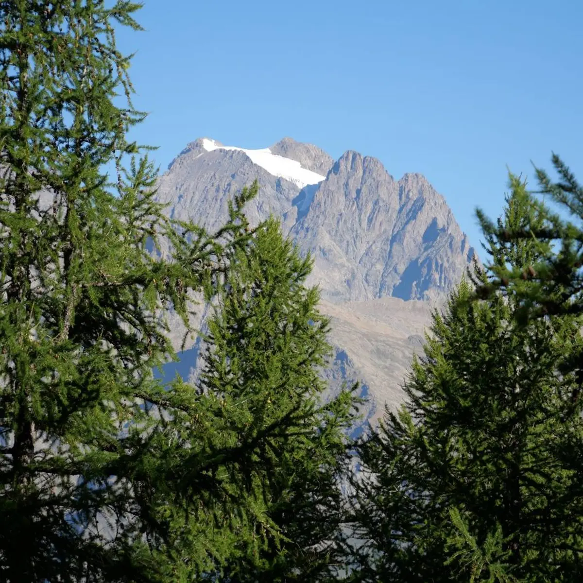 Vue sur le Pelvoux depuis la tête d'Oréac