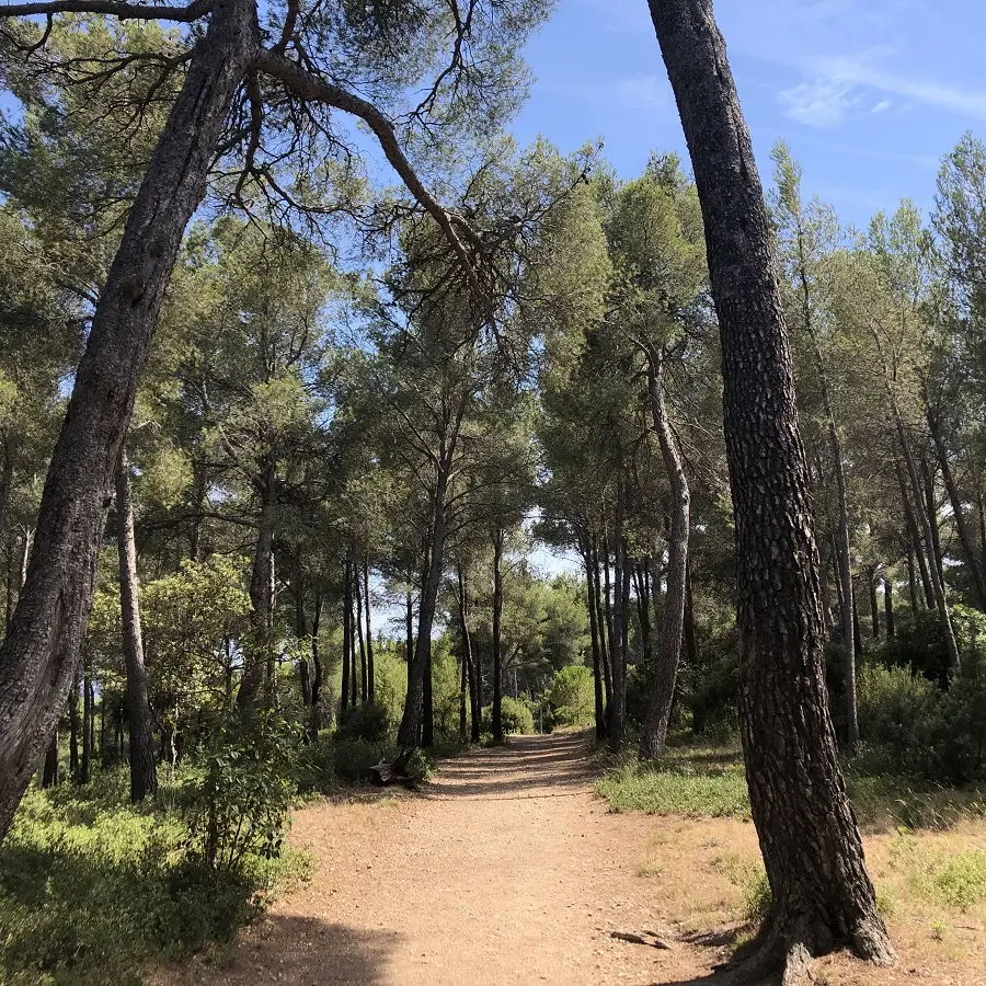 Crapa de la Vernette