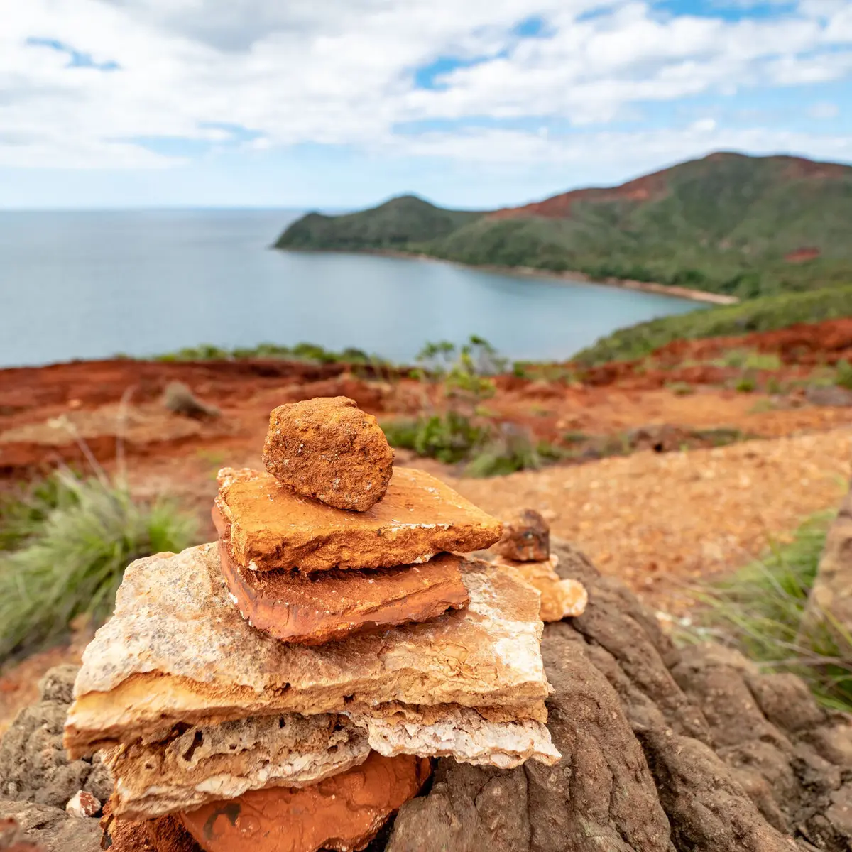 Point de Vue Tamanou