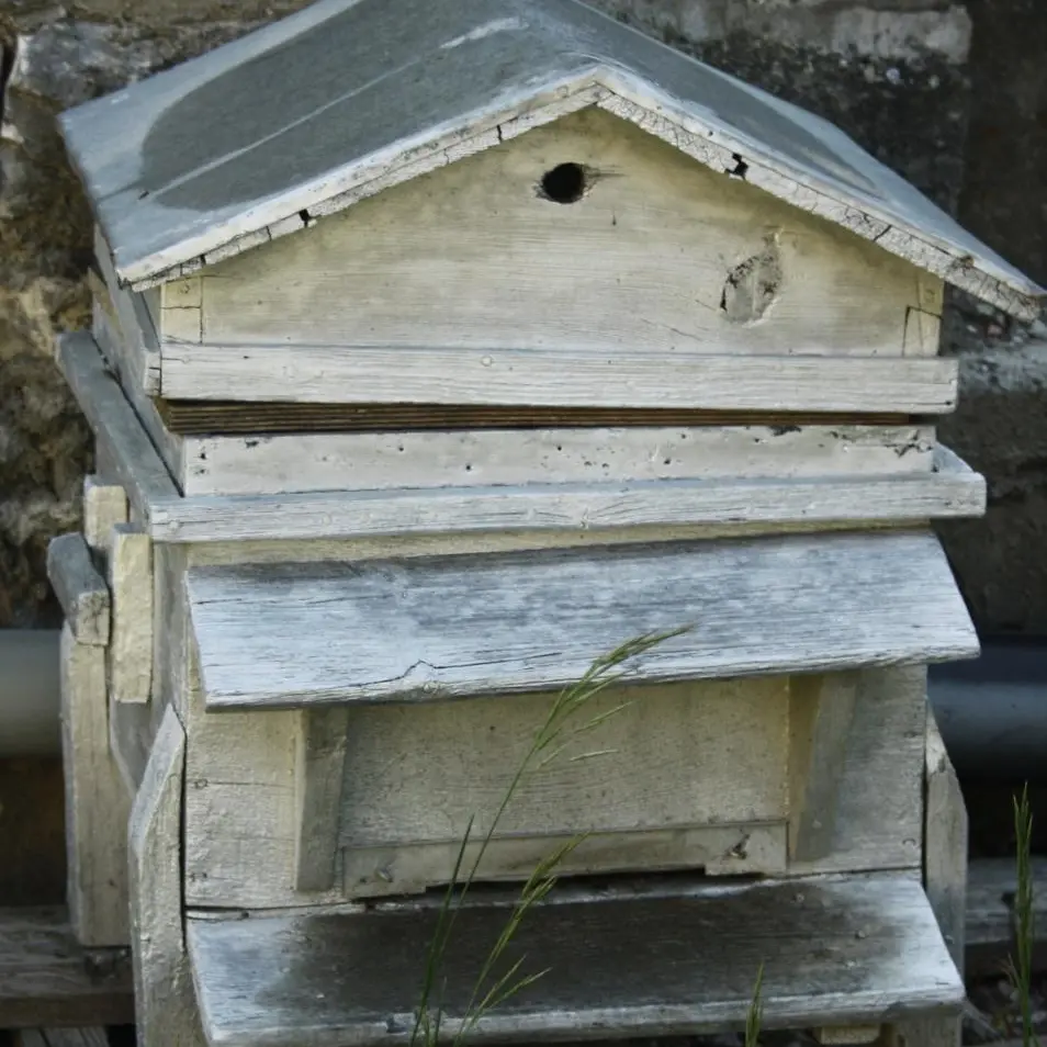 Daniel Brutinel, apiculteur à Orpierre