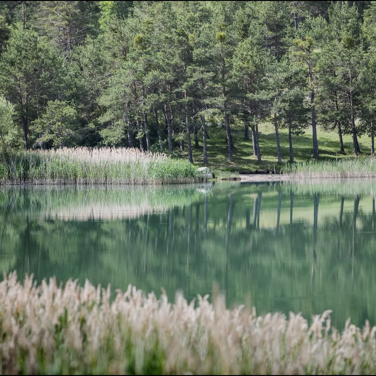 Lac des Sagnes