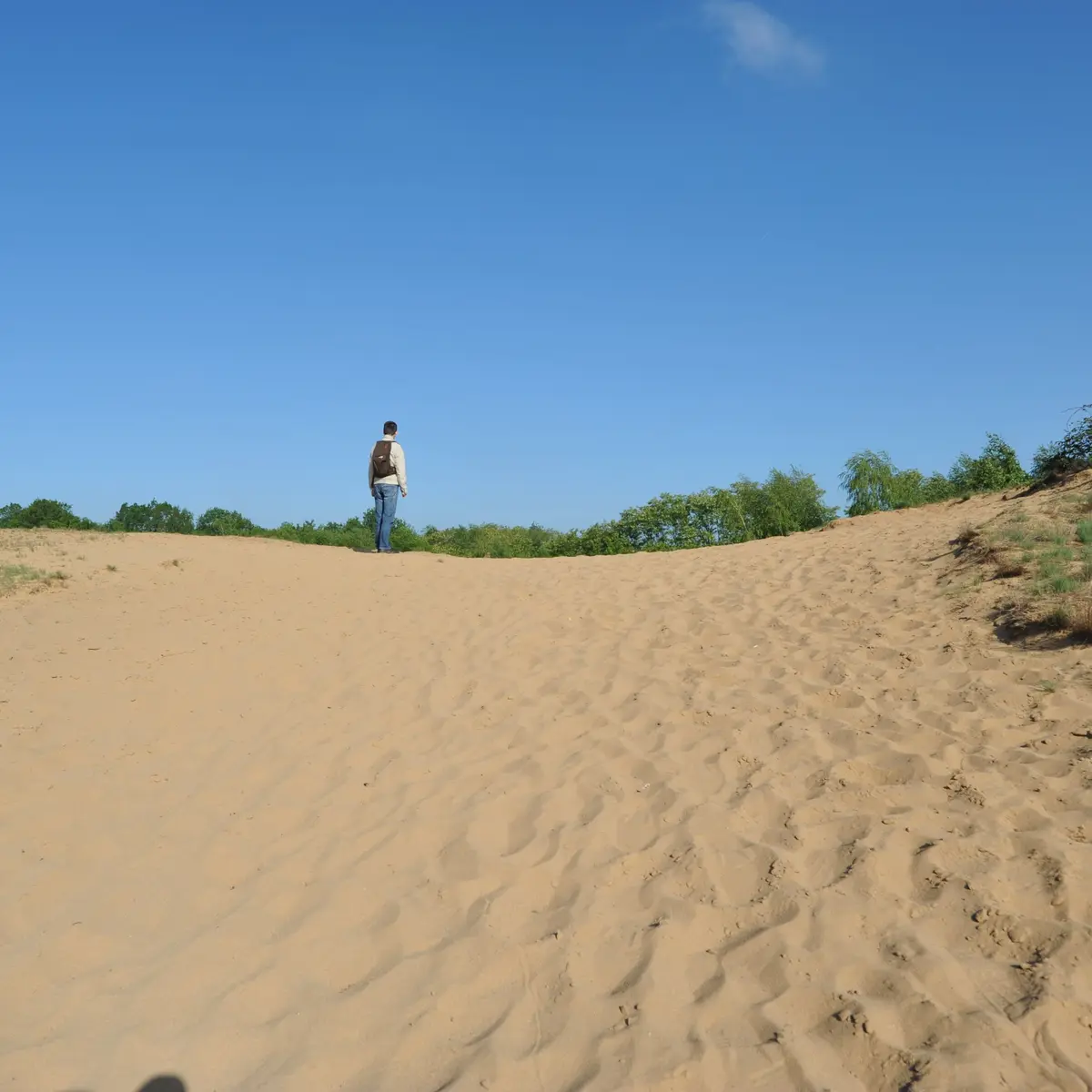 Dunes de sable continentales