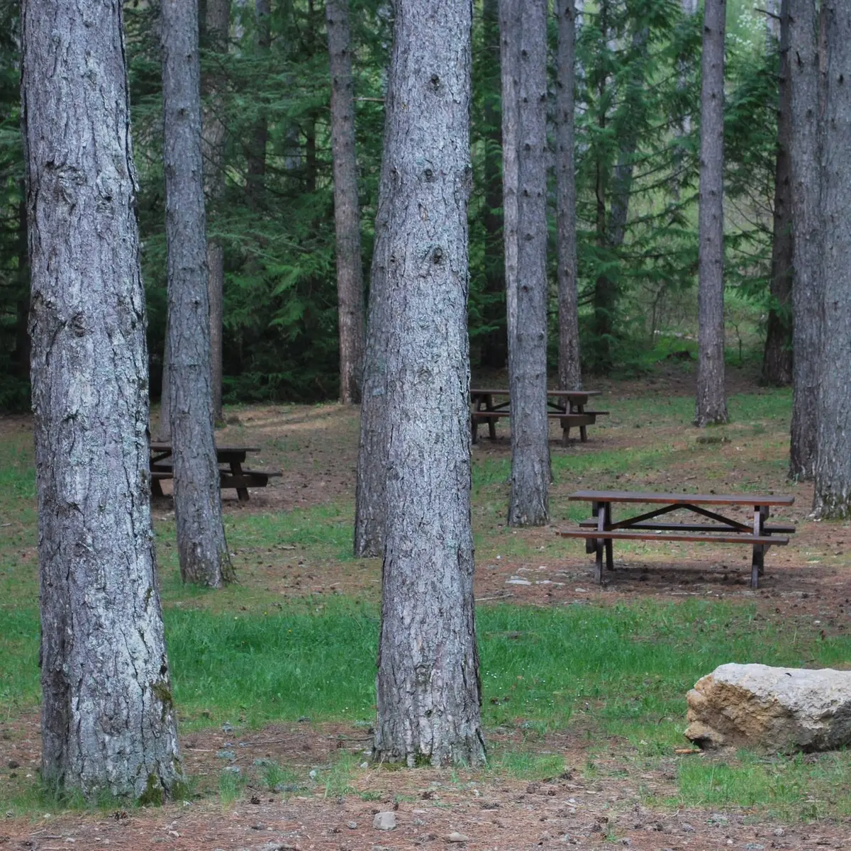 Aire de pique-nique à Jubéo, au départ du sentier