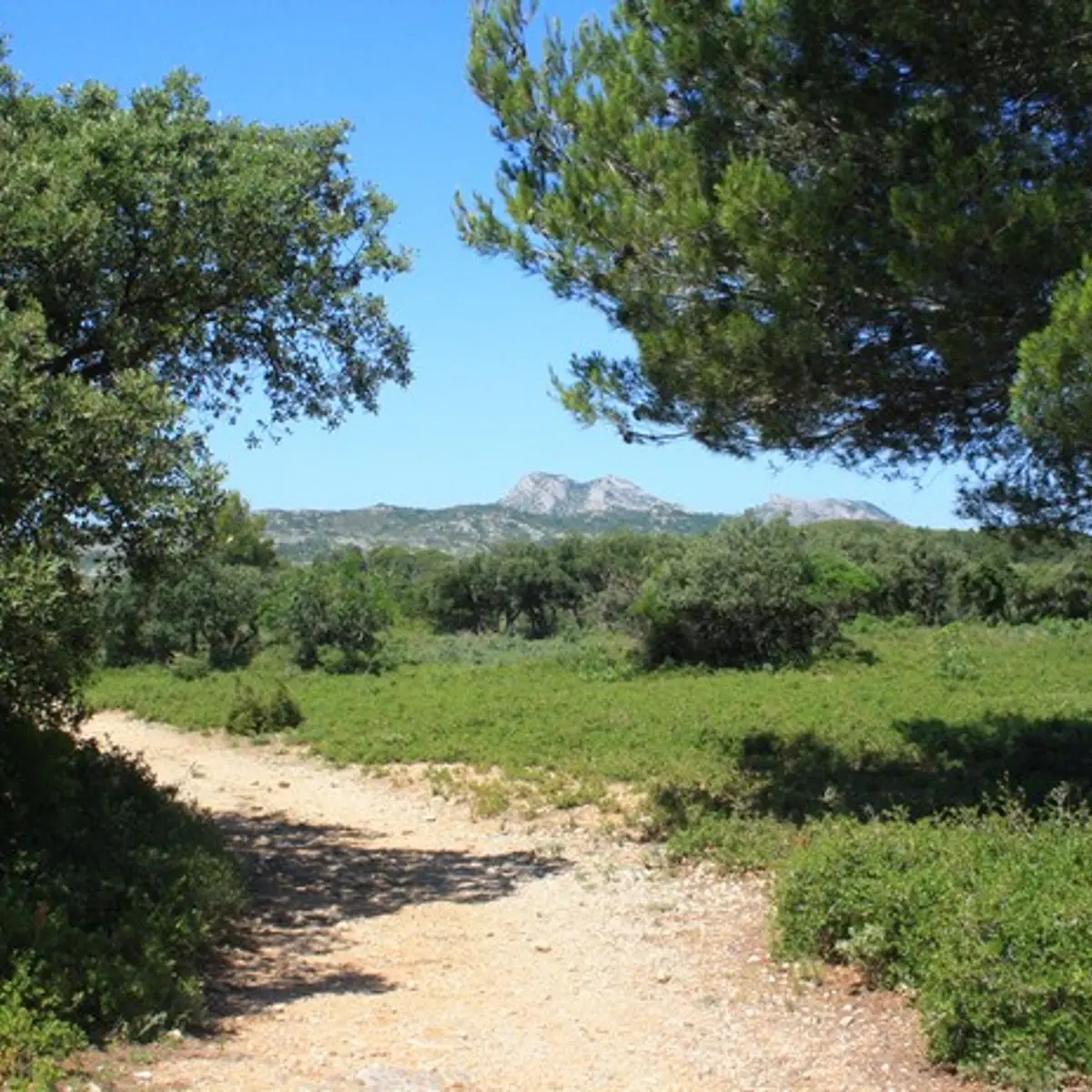 Vue sur le mont Castellas