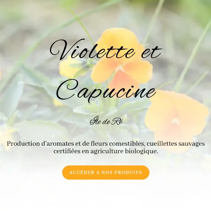 Violette et Capucine