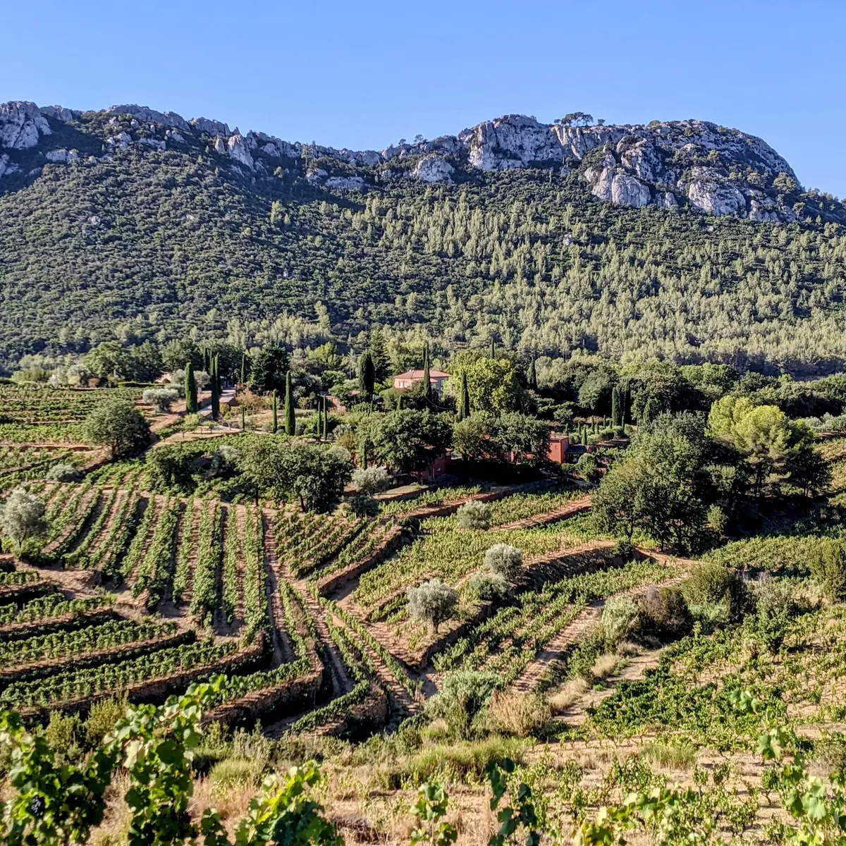 OenoTour Bandol