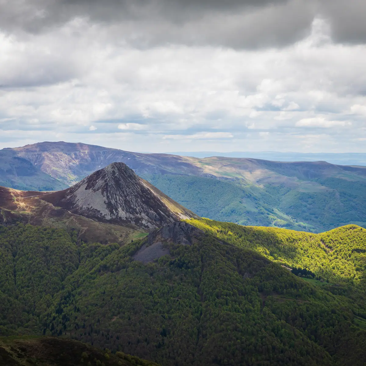 Panorama
