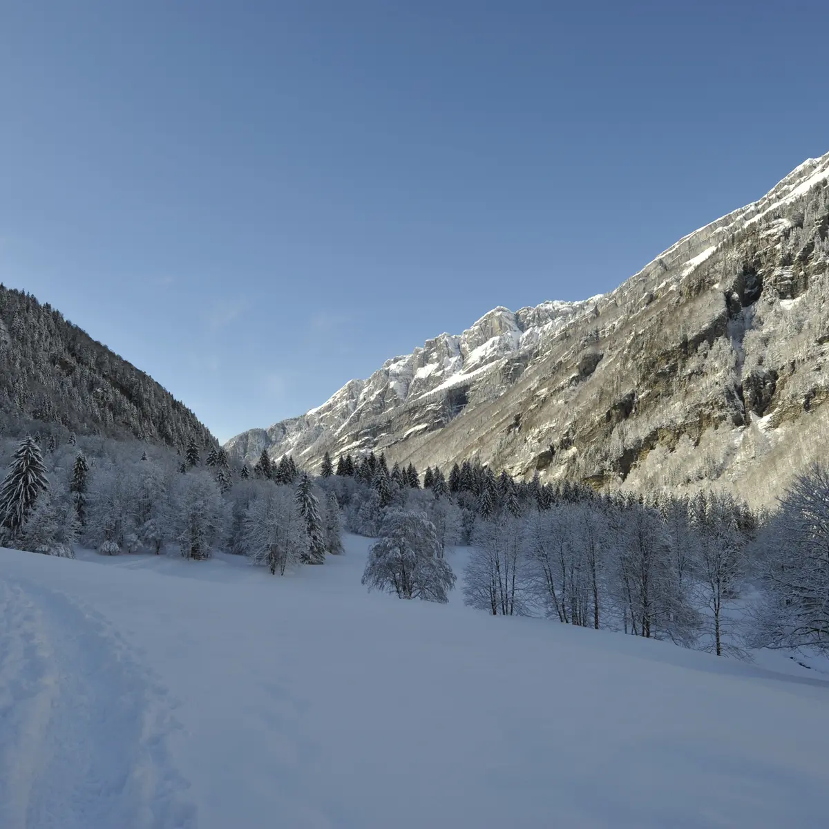 Cirque du Fer-à-Cheval