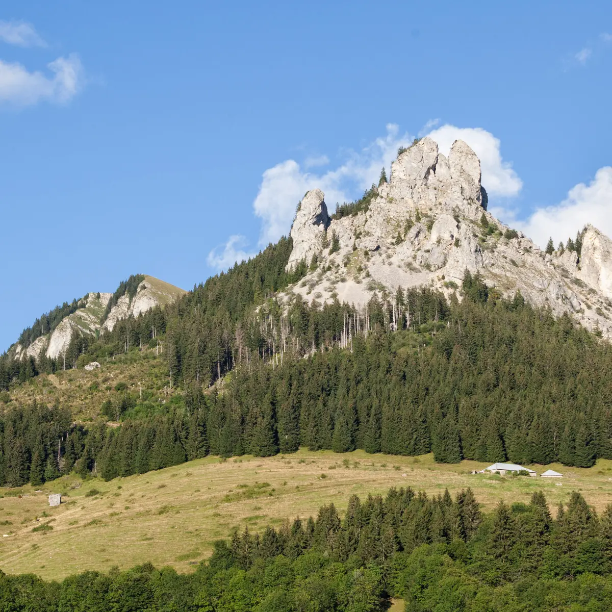 Vue sur le Mont César