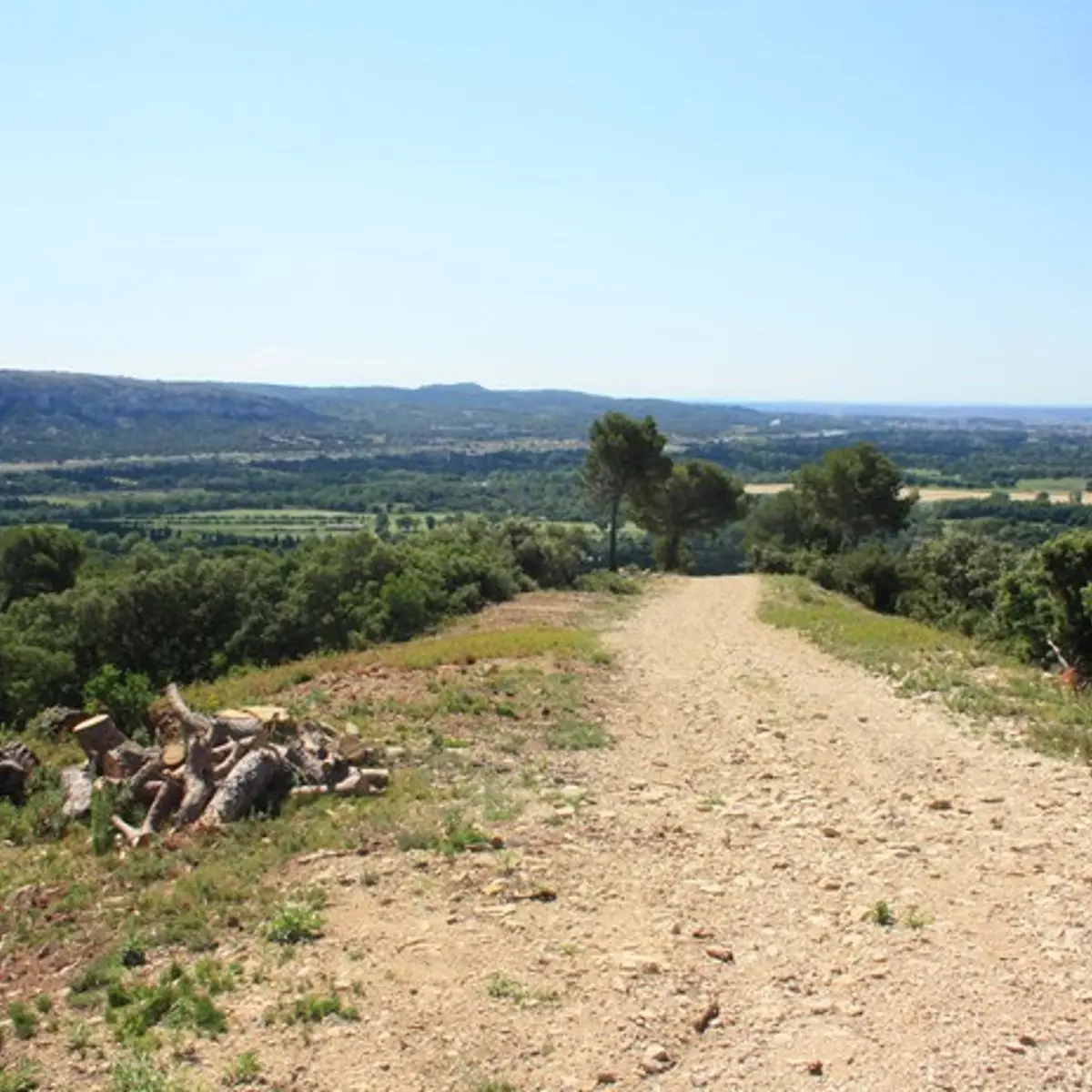 Vue sur le piémont sud des Alpilles