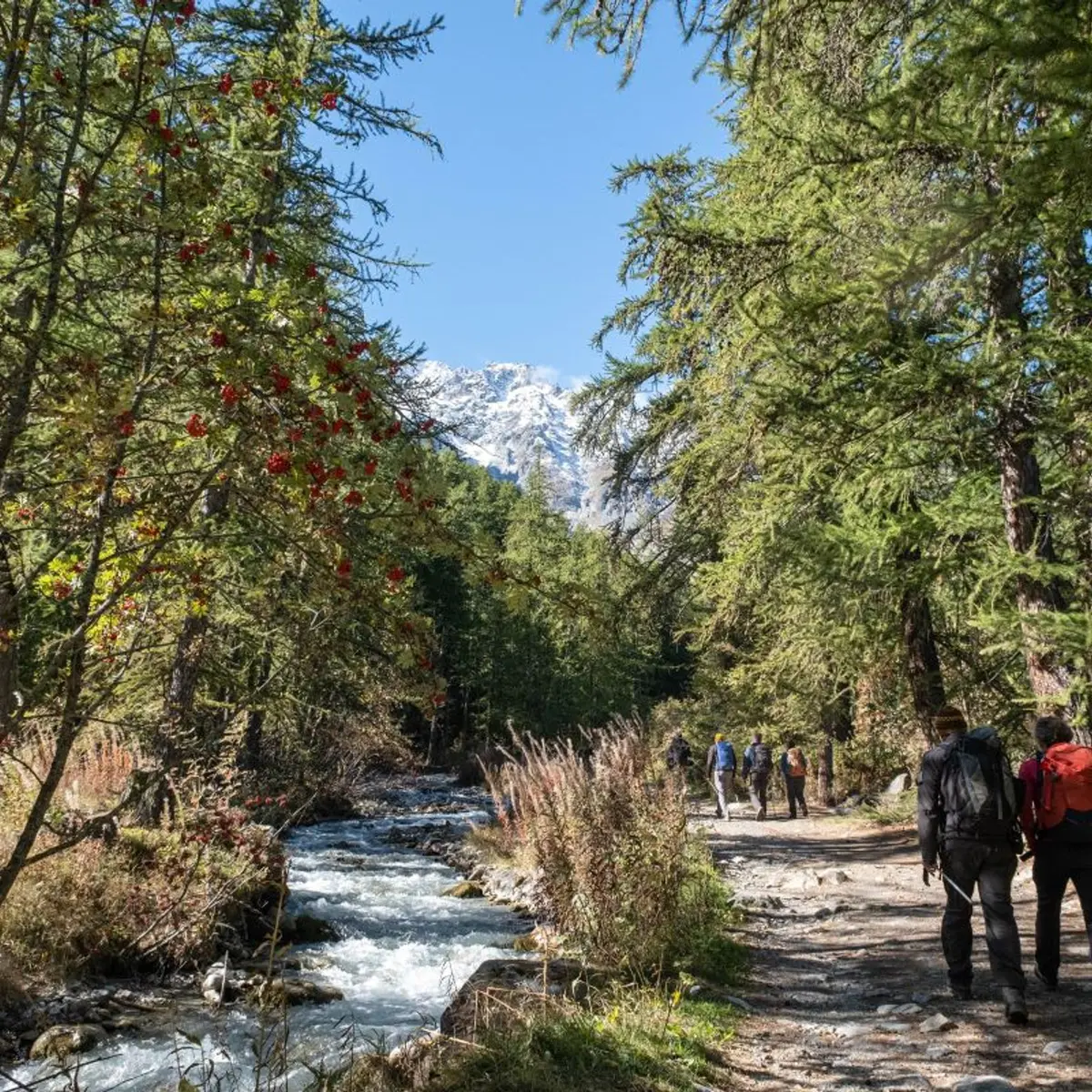 Montée vers le lac de la Douche