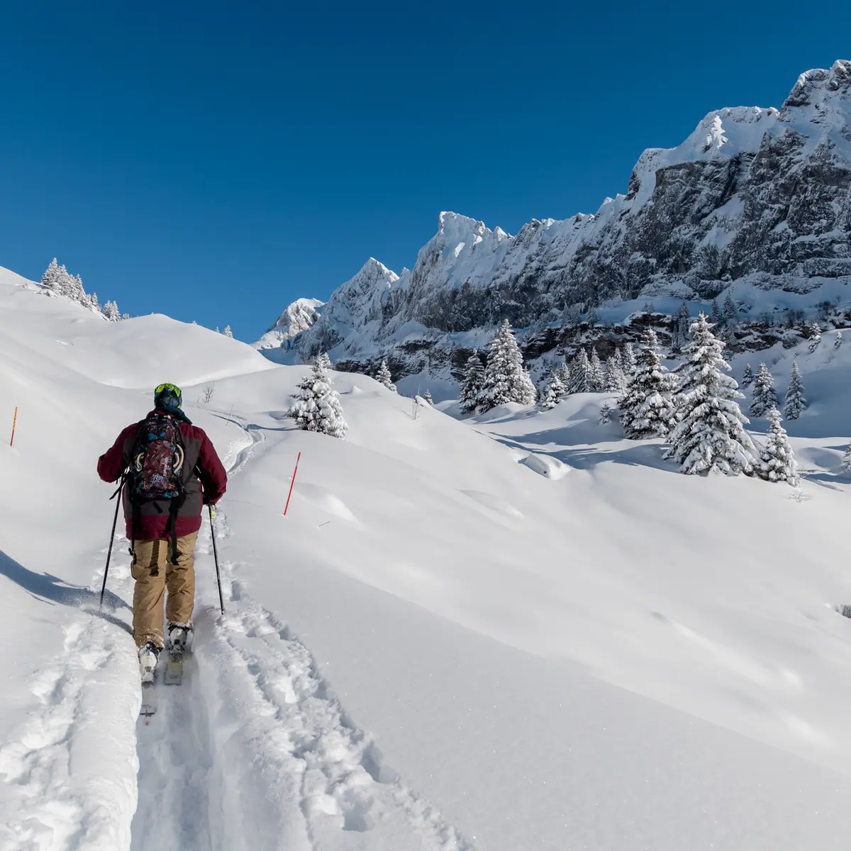 SKI DE RANDO