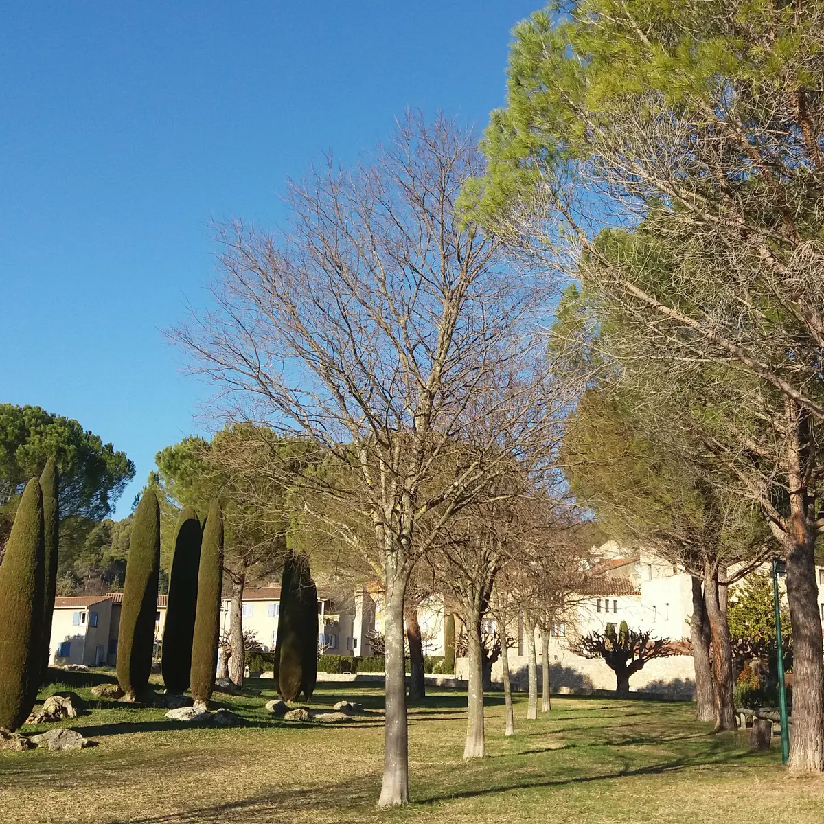 Théâtre de verdure