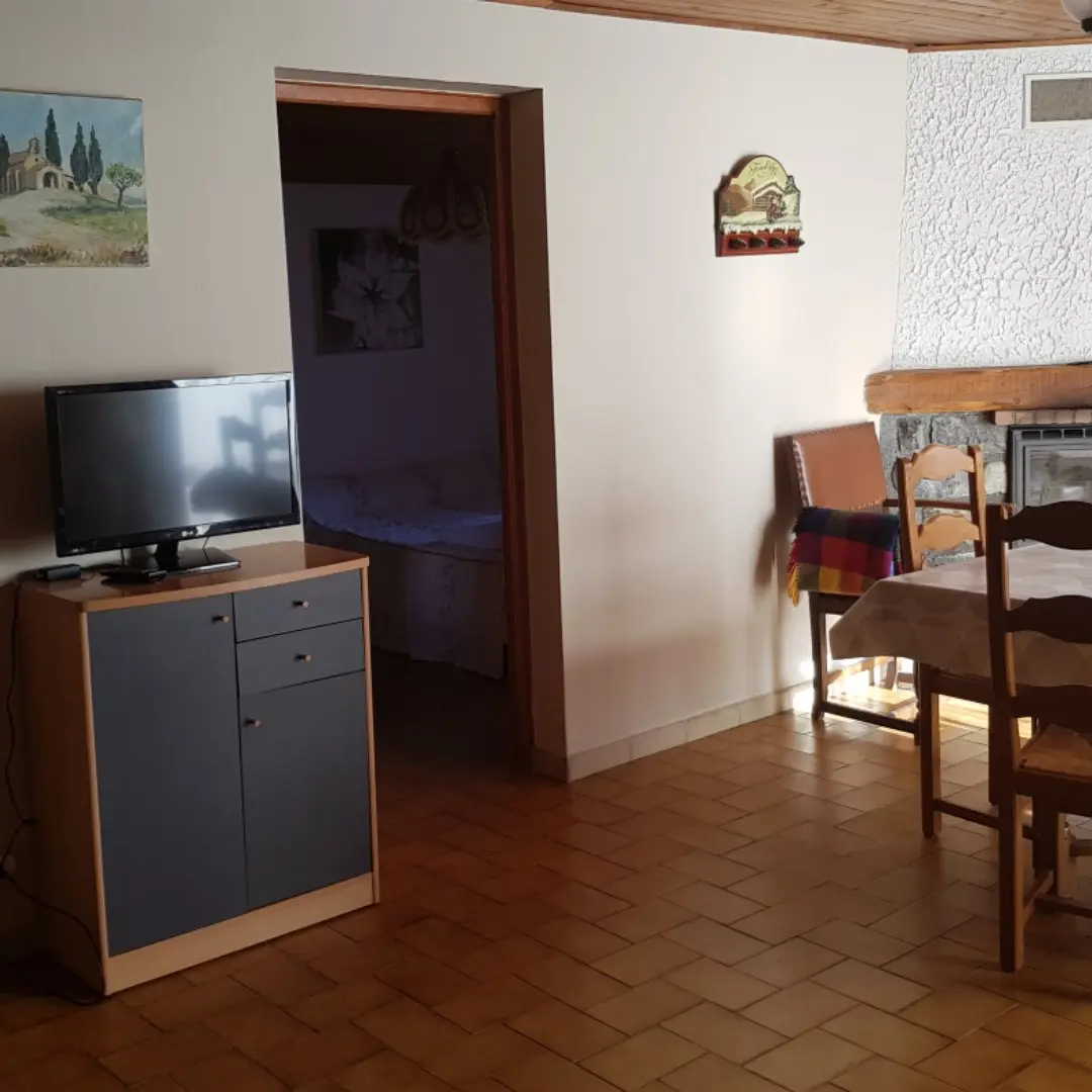 Séjour d'appartement avec TV, table à manger, cheminée, jonction vers chambre à coucher