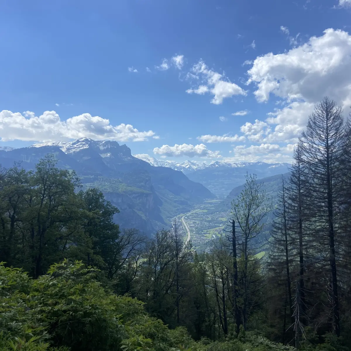 Vue depuis le sentier