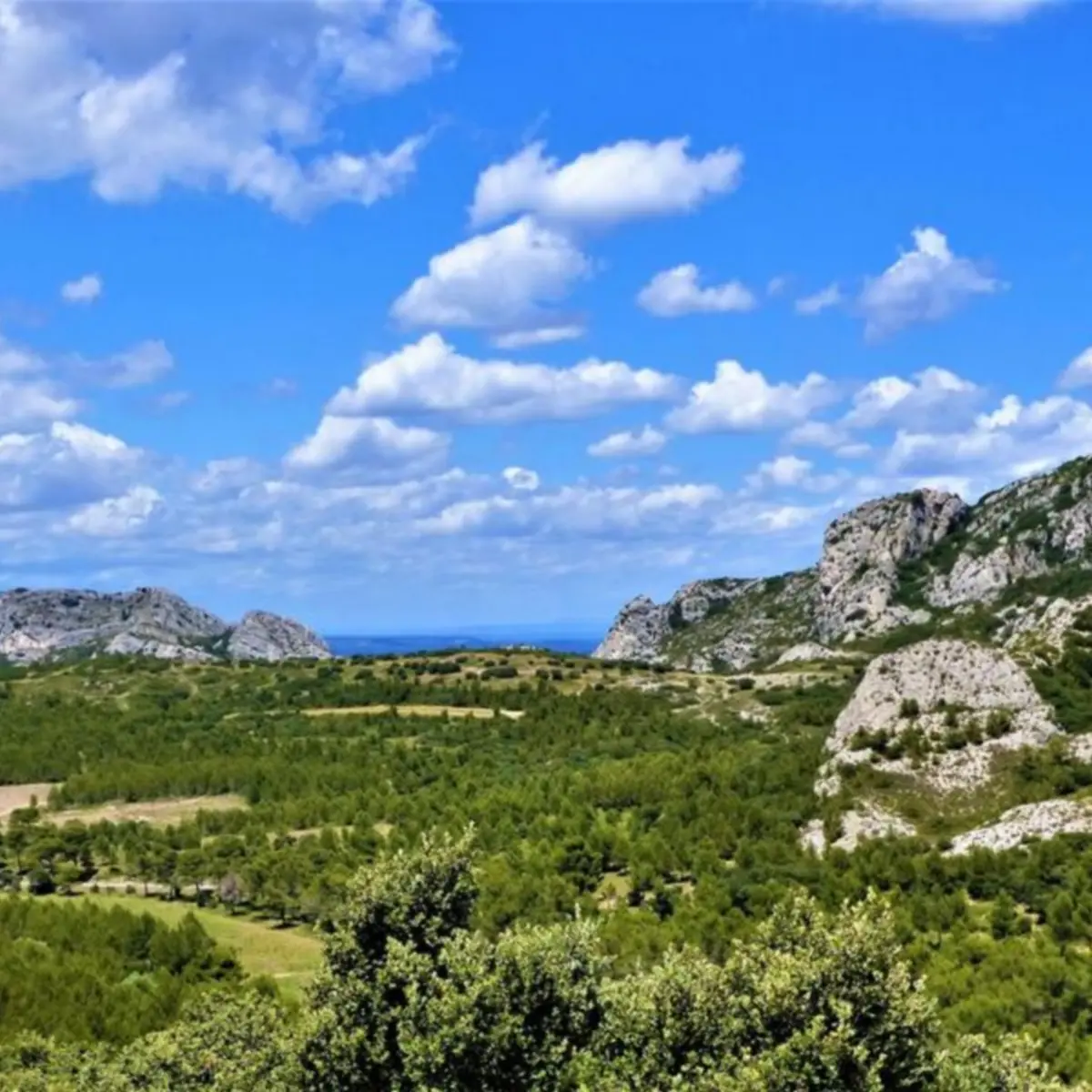 Petit et Gros Calans Eygalières