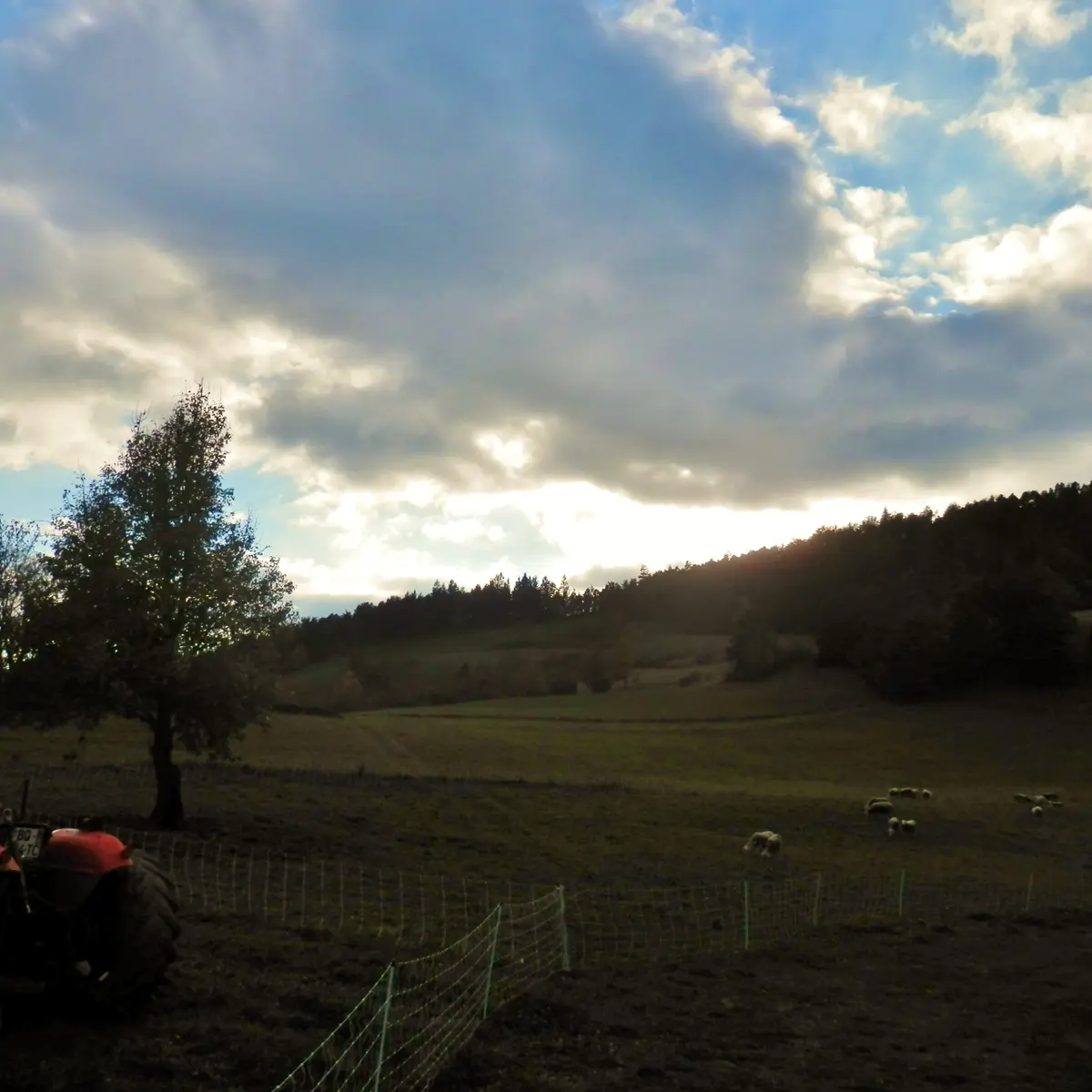 Ferme Etoile du berger