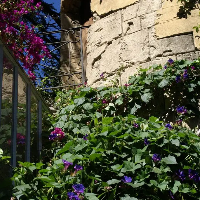 Parc de la Tour Vieille