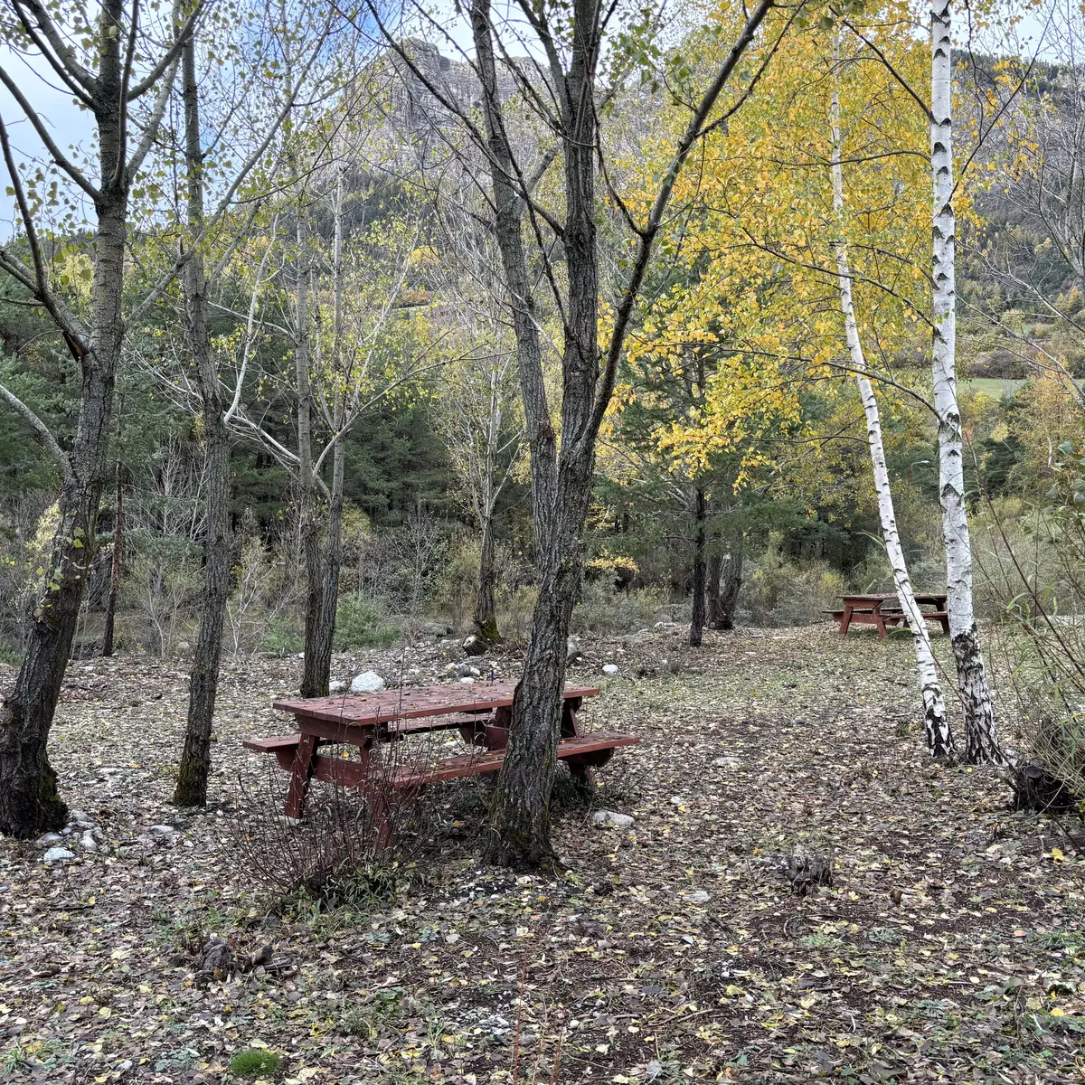 aire Pique-nique la Buissiere Colmars