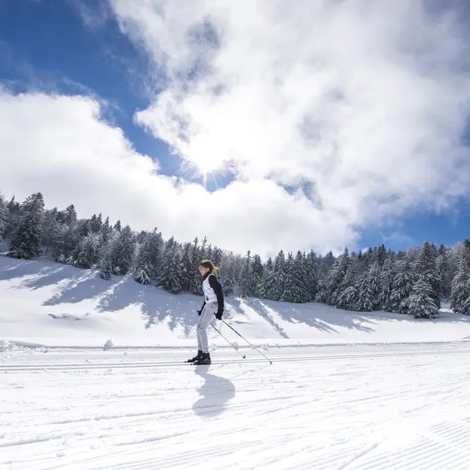 Ski de fond